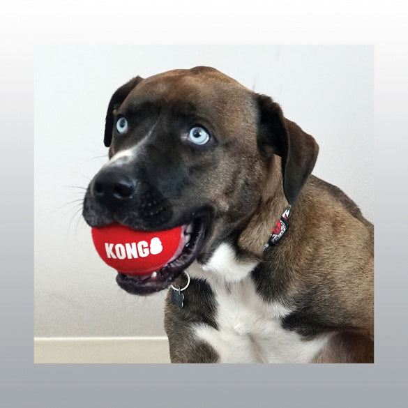 Jouet Kong Sport Balls