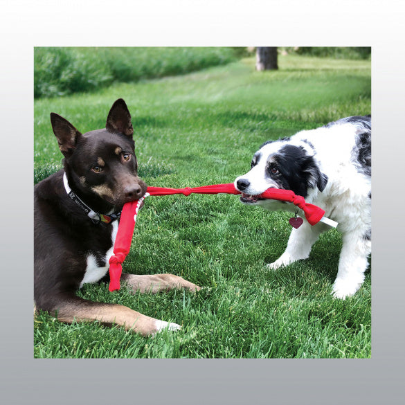 Jouet Kong Sign. Crunch Rope Double