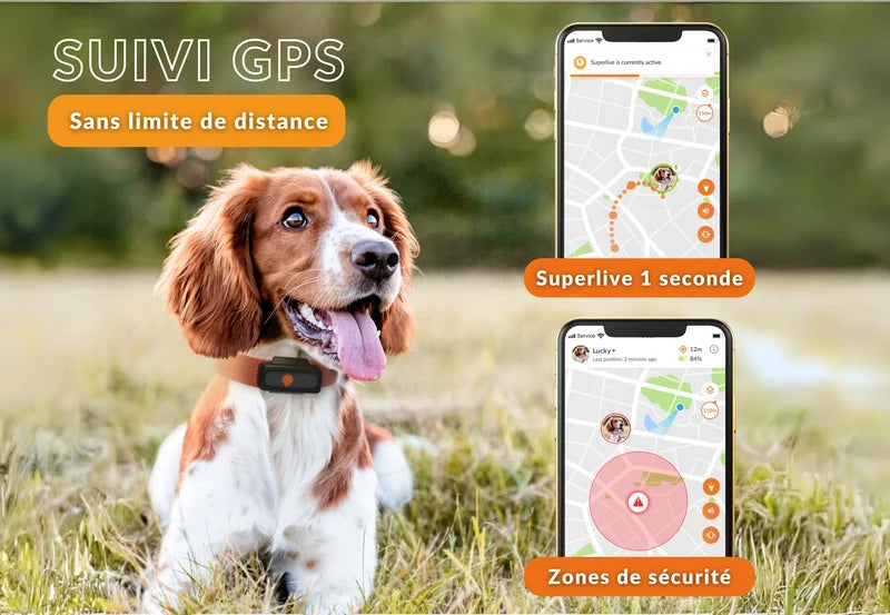 Gps Weenect Chien
