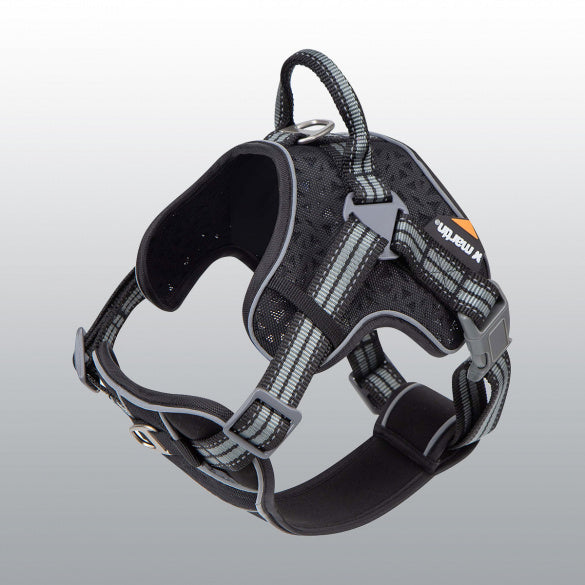 Harnais Martin Dog
