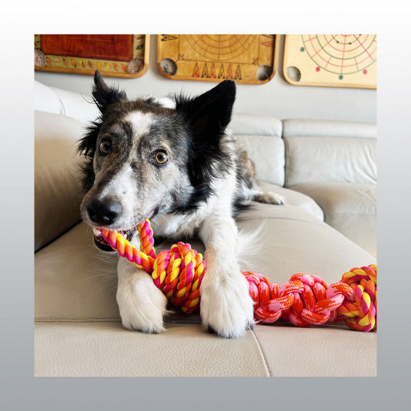 Jouet Kong Rope Bunji