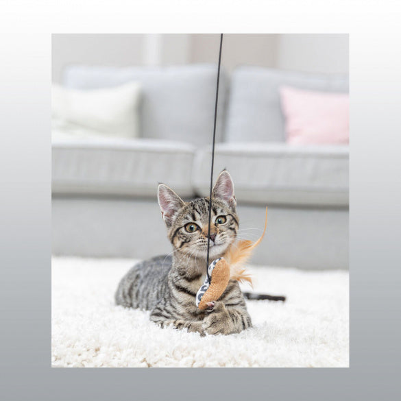 Canne à pêche Coeur Leo chat