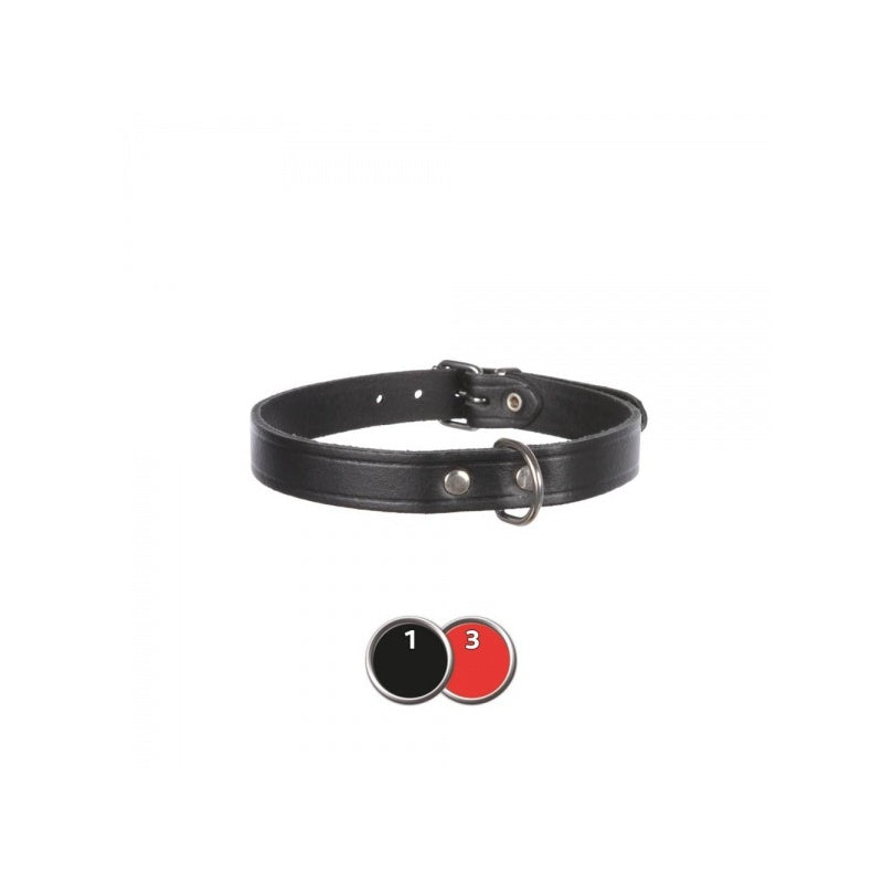 Collier pour chien Basic