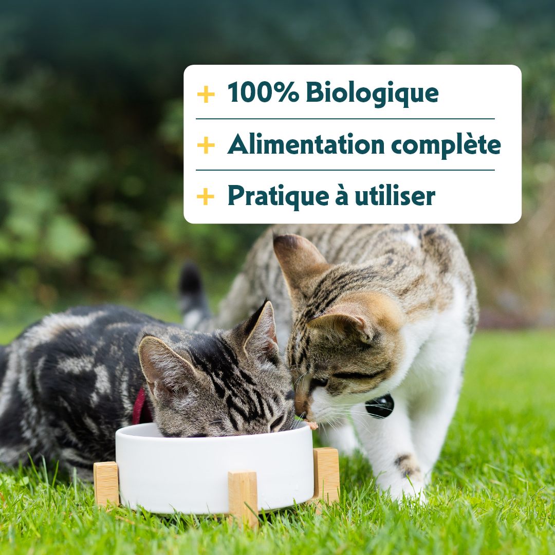 Yarrah filets bio en sauce - Lot 14 x 85 g