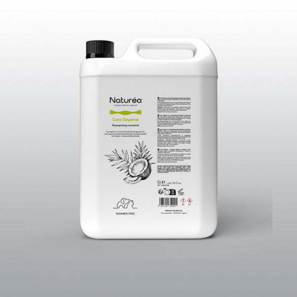 Shampoing au lait de coco