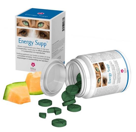 Energy Supp