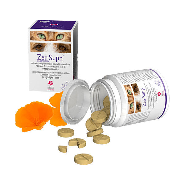 Zen Supp Small & Medium