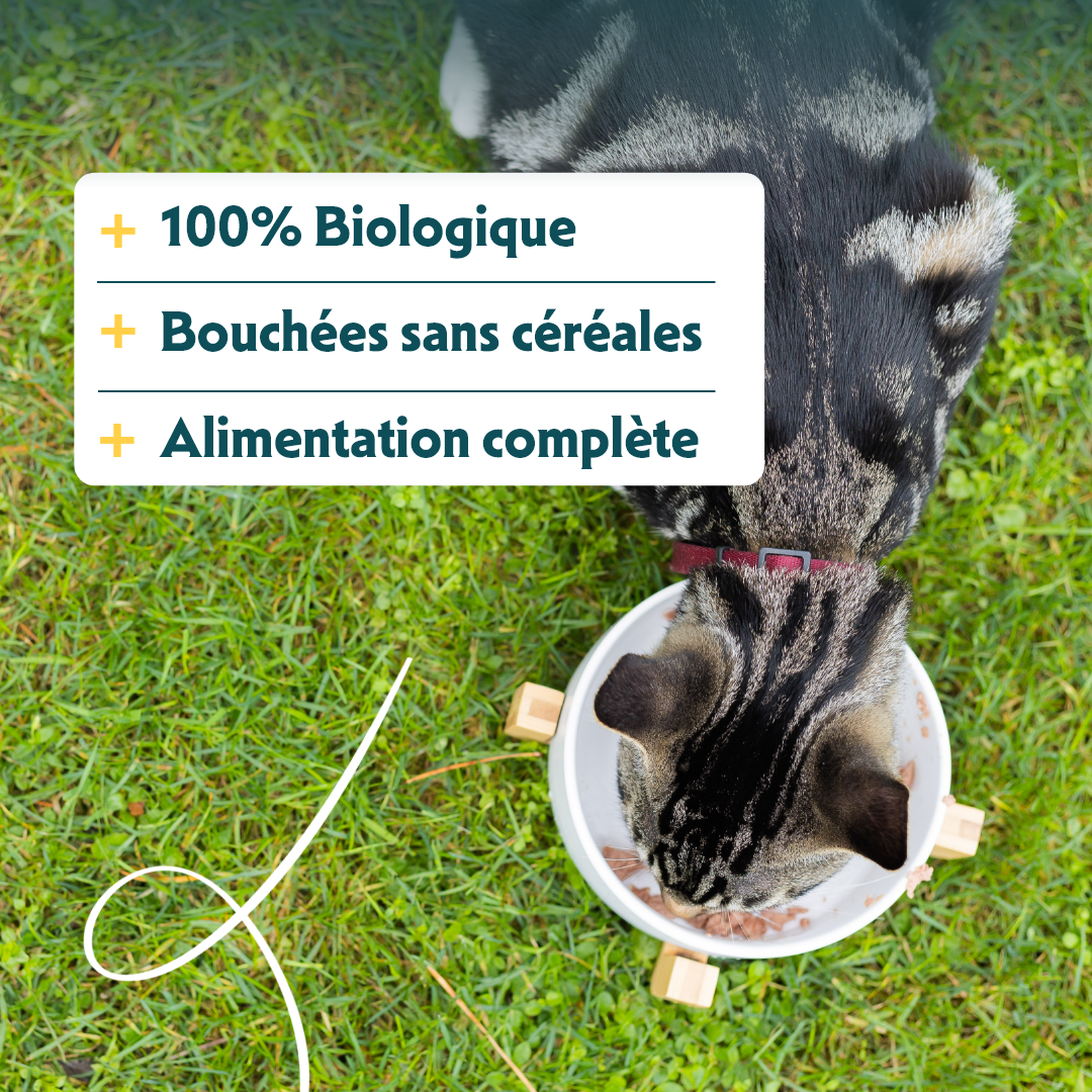 Yarrah bouchées bio sans céréales - Lot 16 x 100g