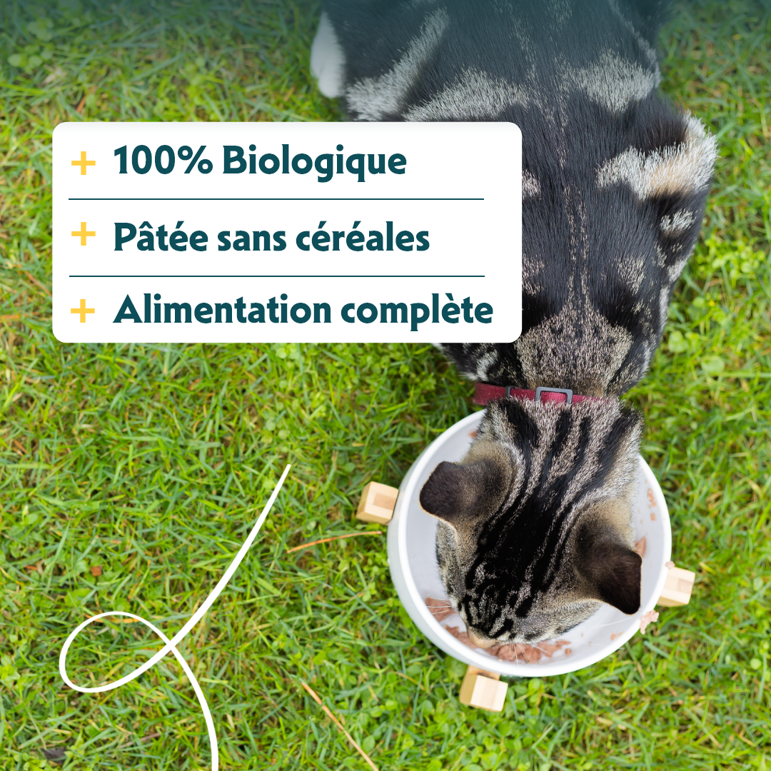 Yarrah pâtée bio sans céréales - Lot 16 x 100g