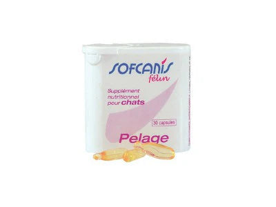 Sofcanis Pelage Chat