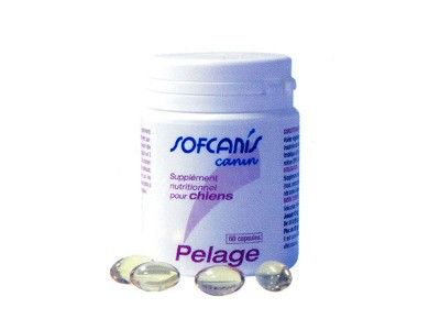 Sofcanis Pelage Chien