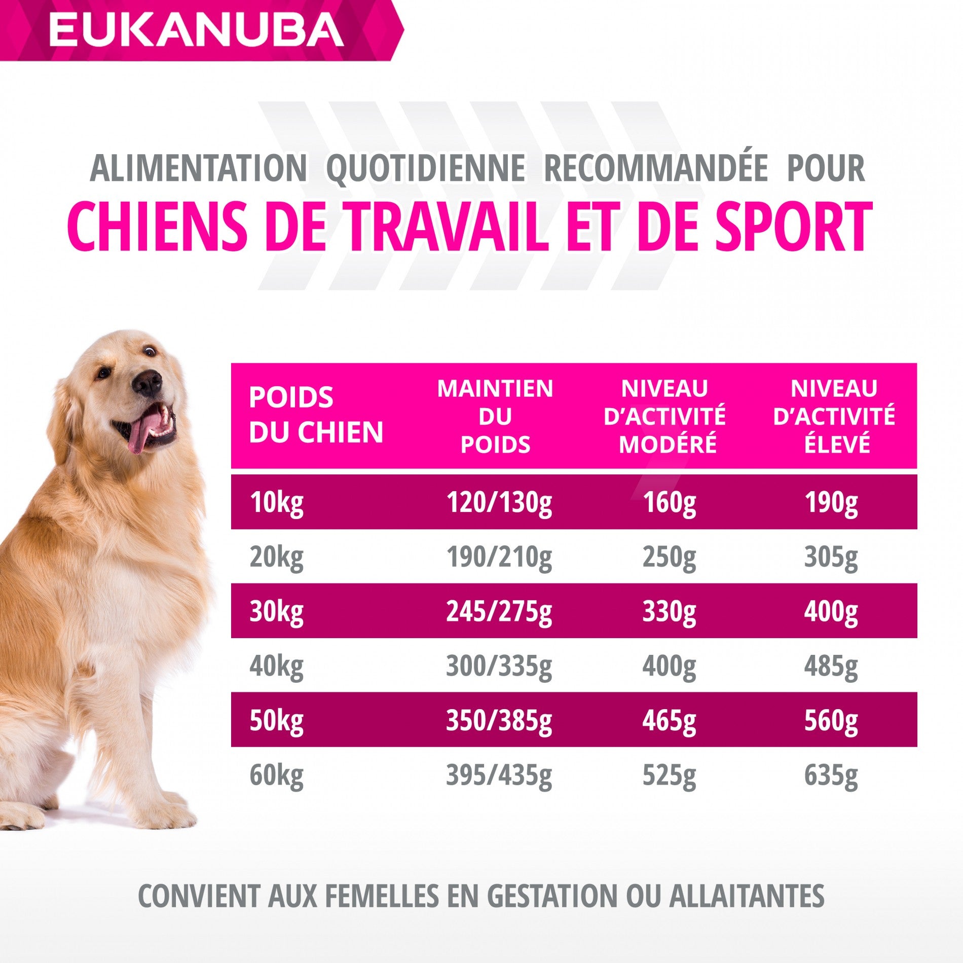 Eukanuba Daily Care Working & Endurance