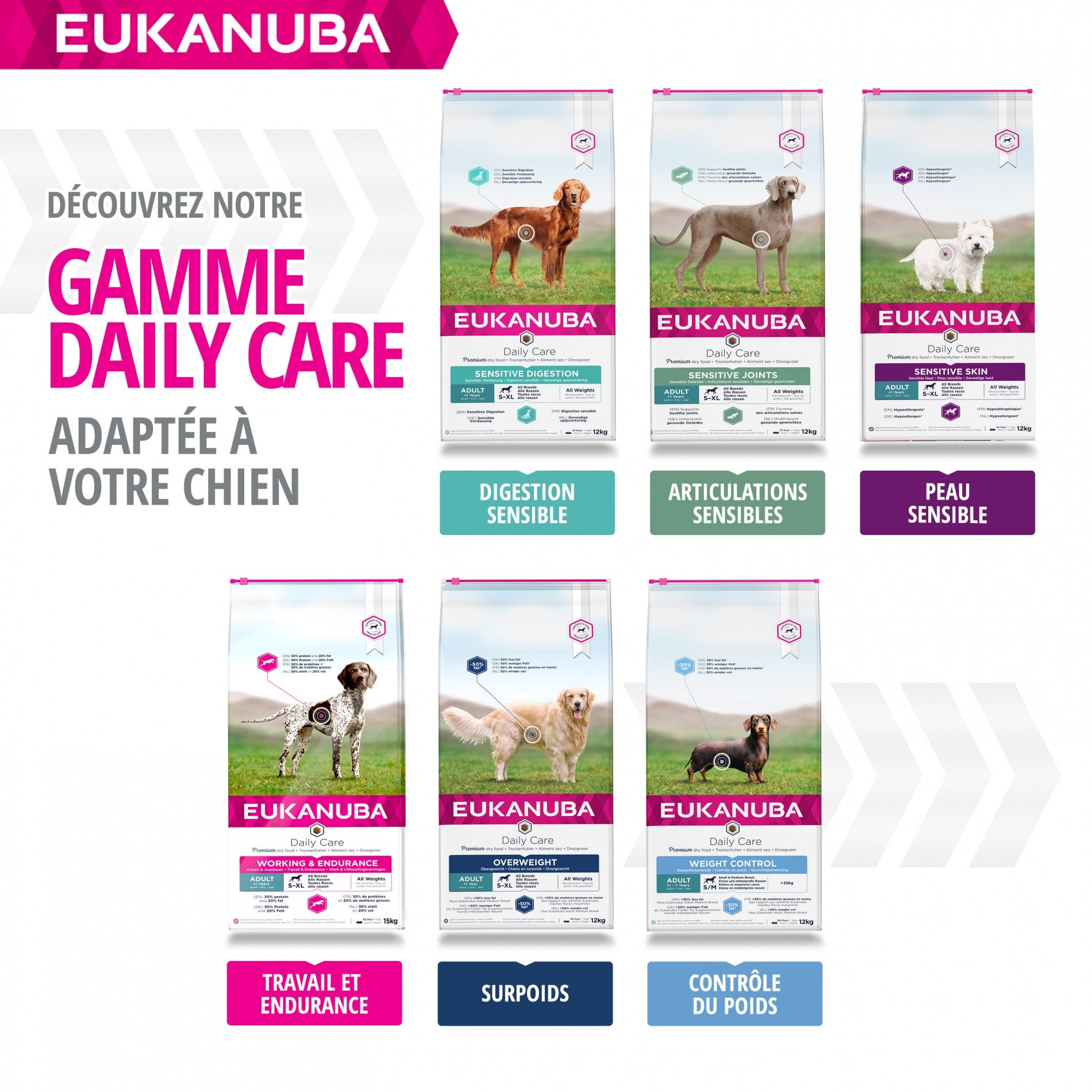 Eukanuba Daily Care Working & Endurance