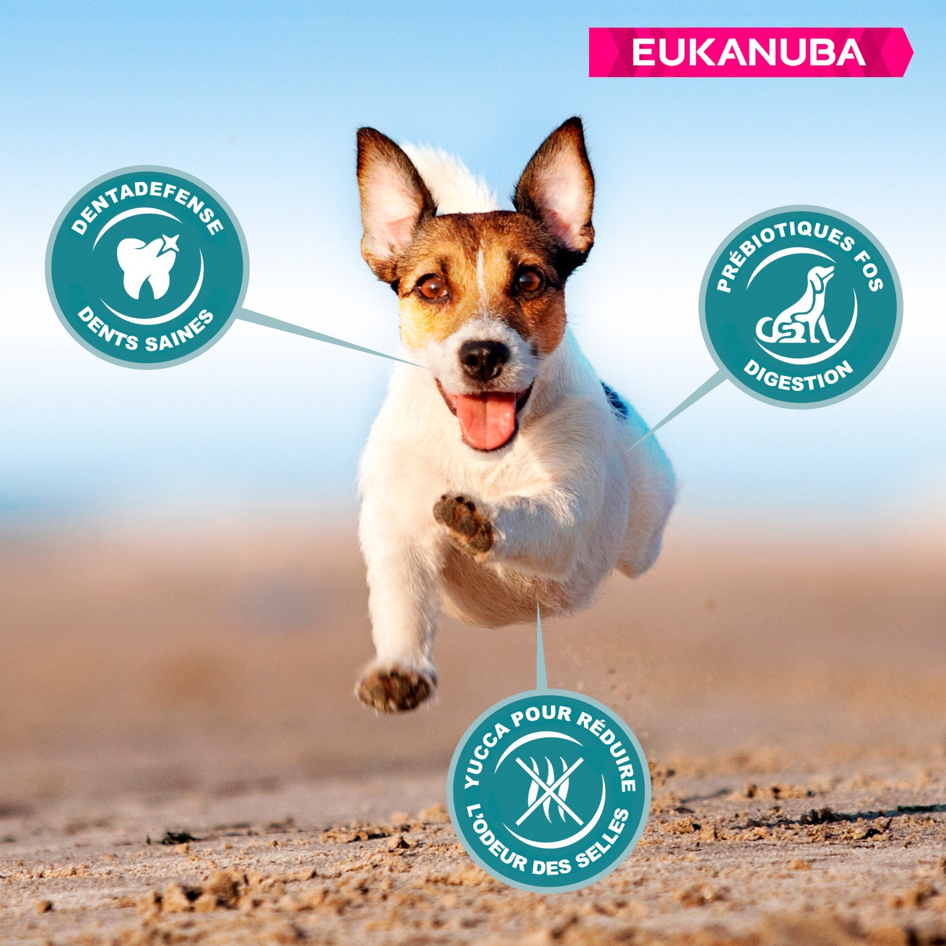 Eukanuba Active Adult Small Breed - Poulet
