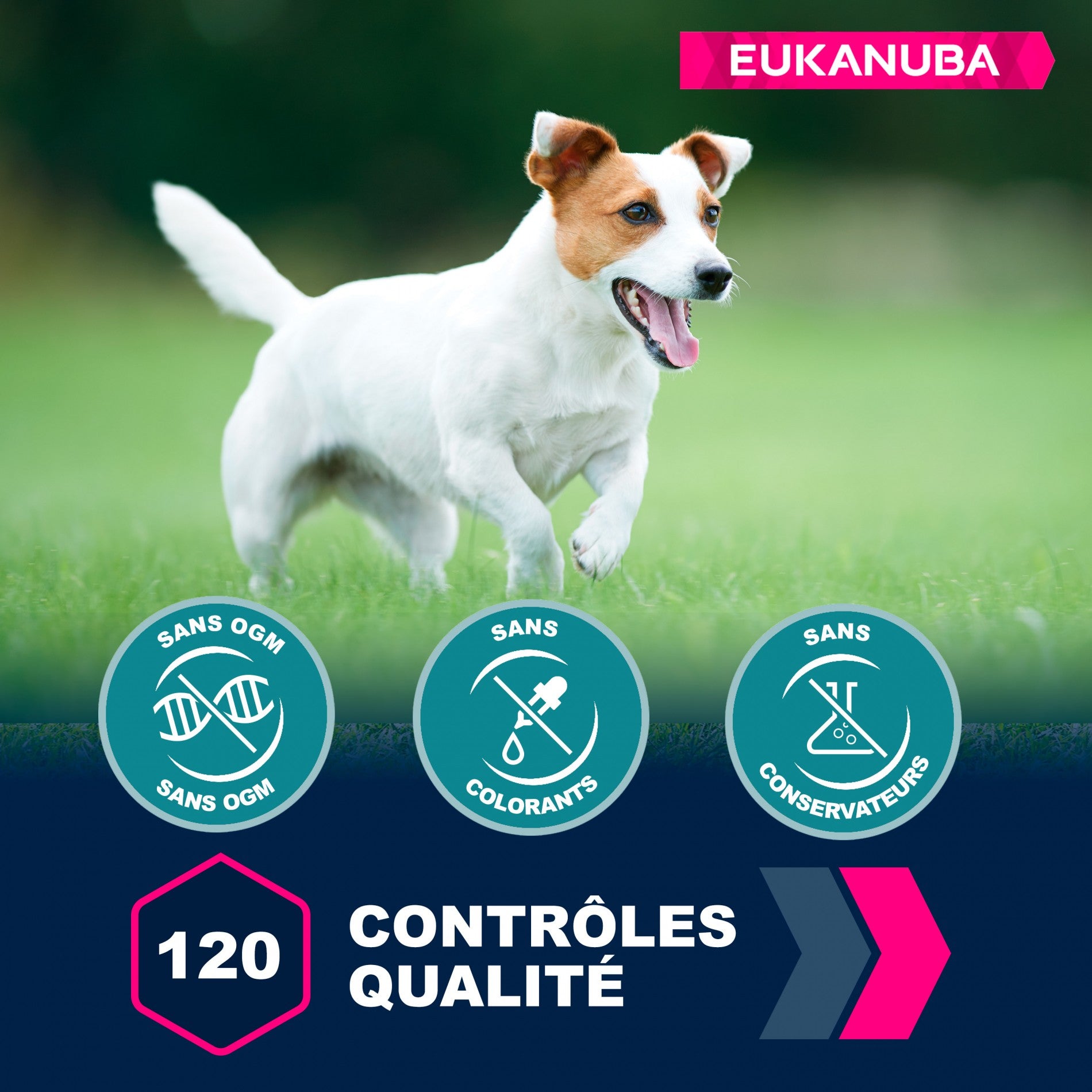 Eukanuba Active Adult Small Breed - Poulet