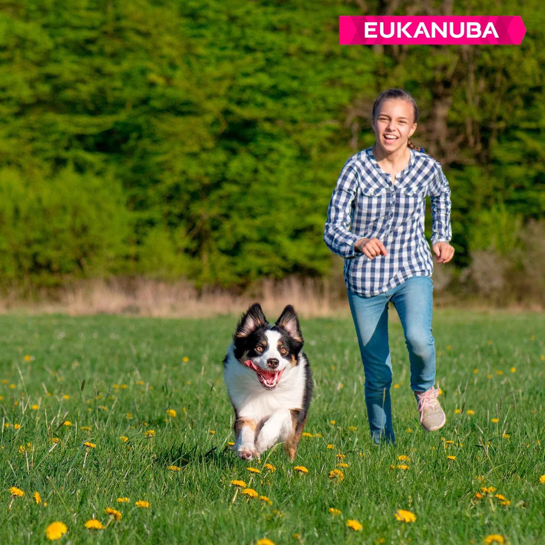 Eukanuba Active Adult Small Breed - Poulet