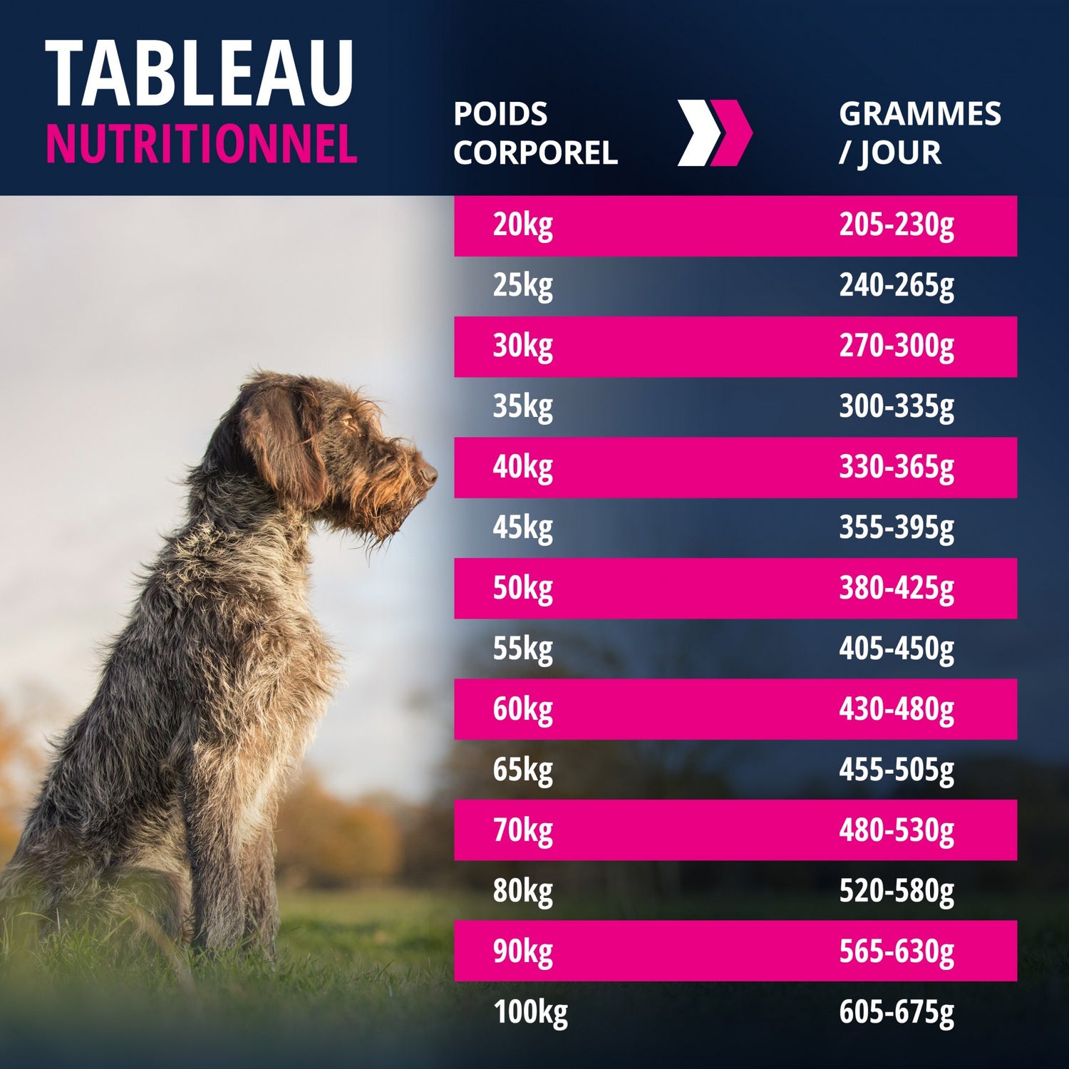 Eukanuba Adult Large Breed - Agneau et riz