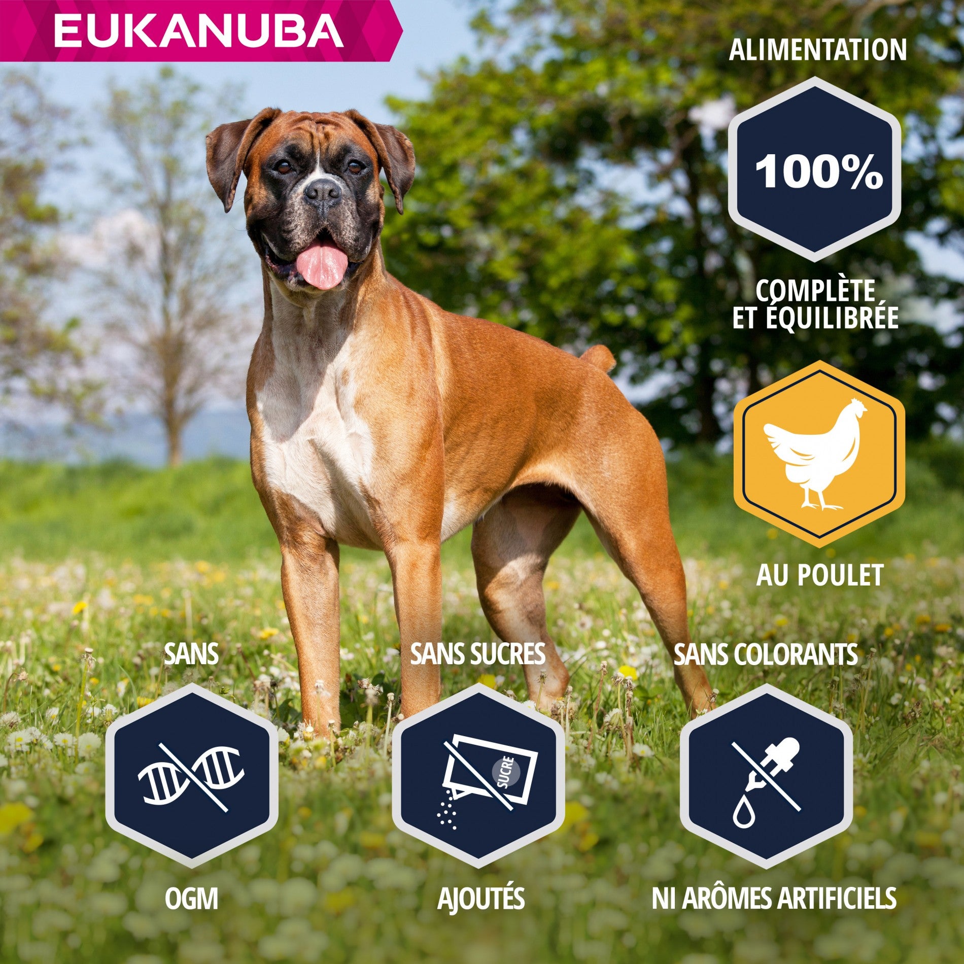 Eukanuba Breed Specific Boxer