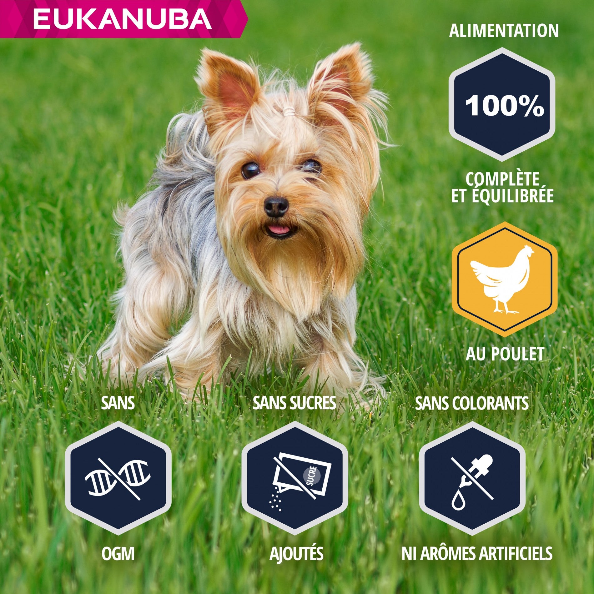 Eukanuba Breed Specific Yorkshire Terrier