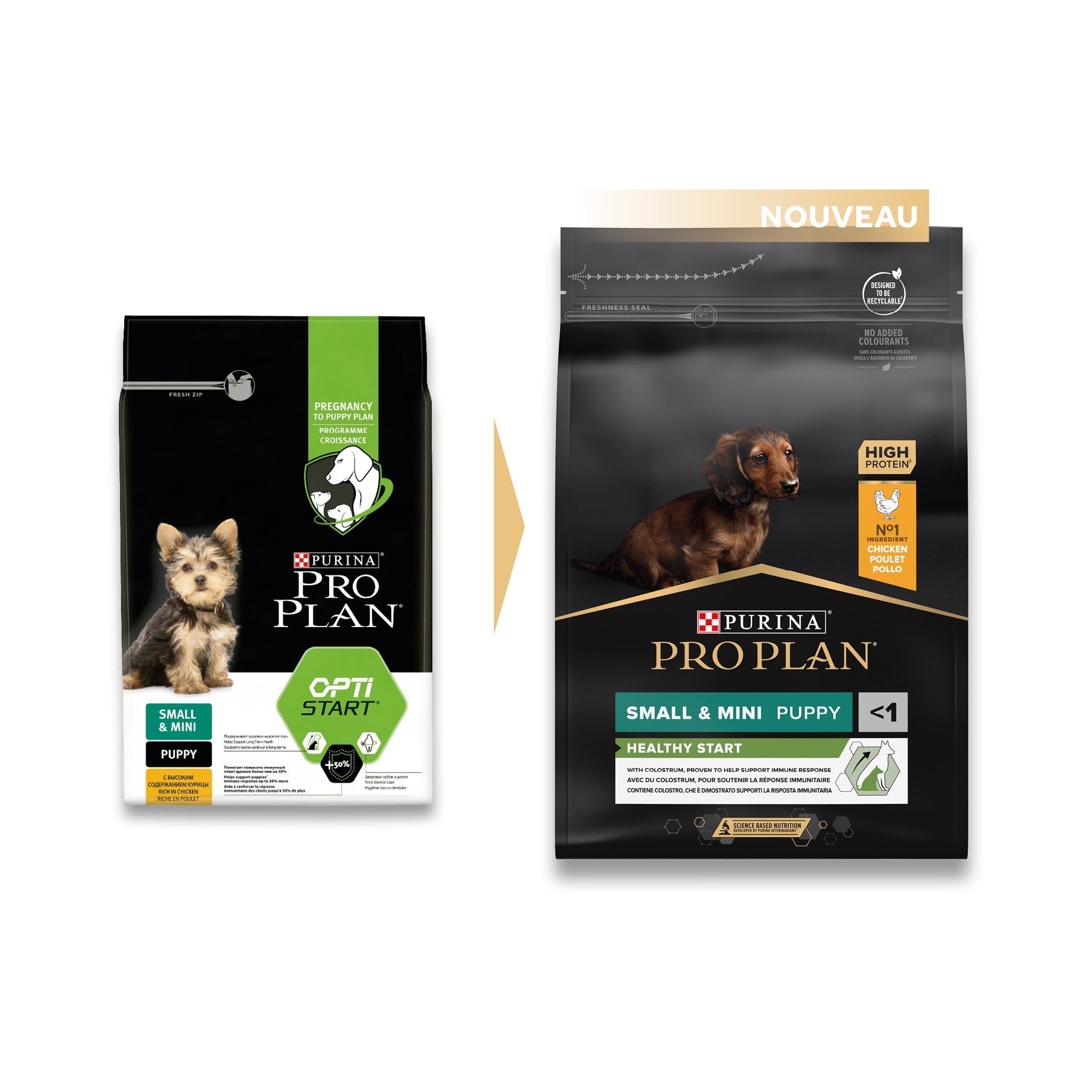 PRO PLAN Healthy Start Small & Mini Puppy au Poulet - Croquettes pour chien