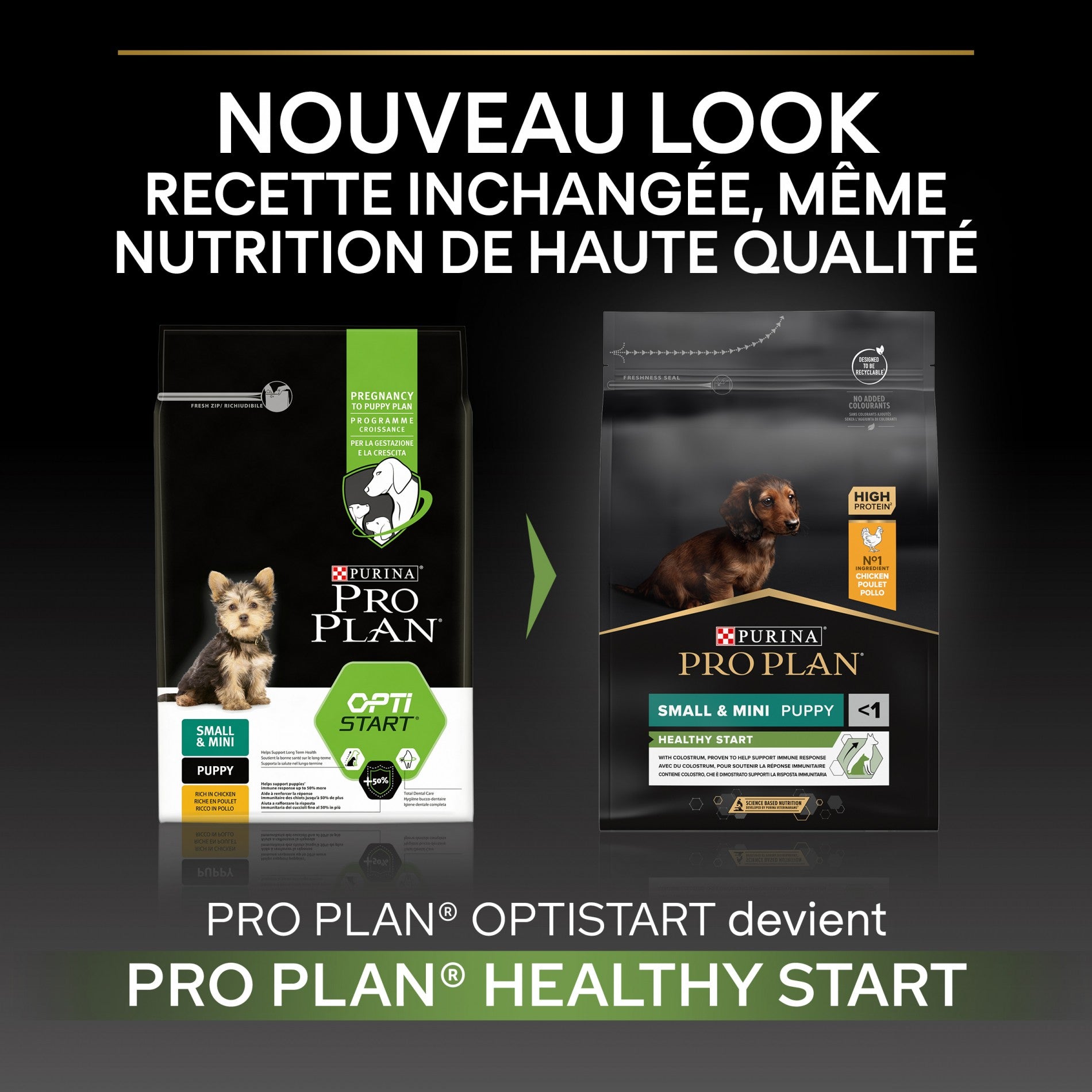PRO PLAN Healthy Start Small & Mini Puppy au Poulet - Croquettes pour chien