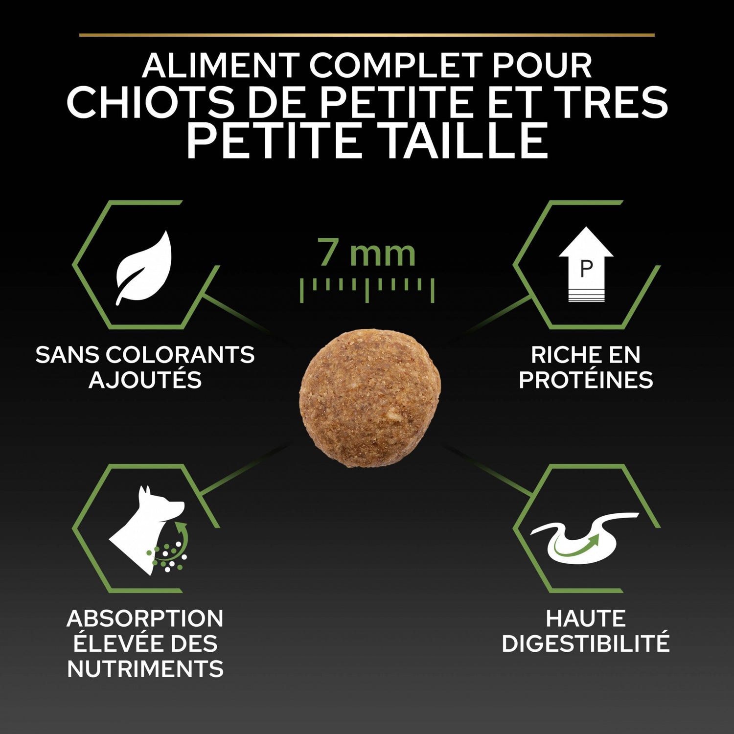 PRO PLAN Healthy Start Small & Mini Puppy au Poulet - Croquettes pour chien