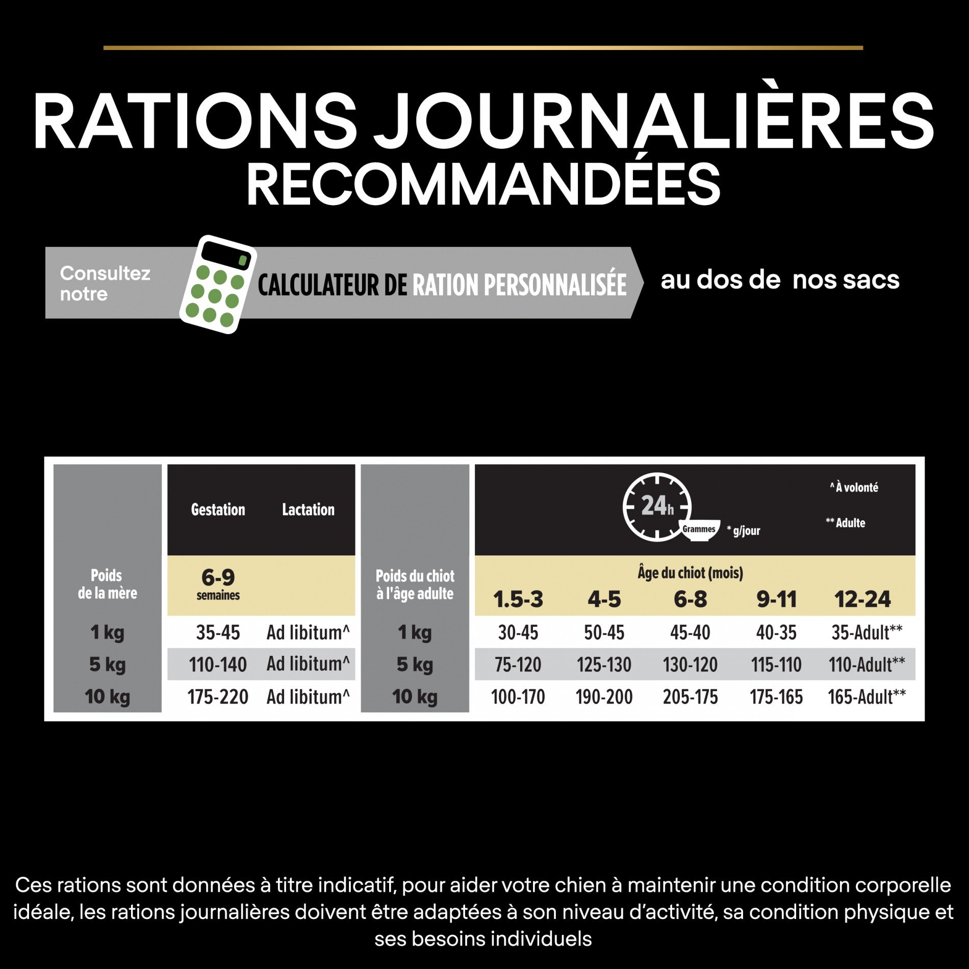 PRO PLAN Healthy Start Small & Mini Puppy au Poulet - Croquettes pour chien