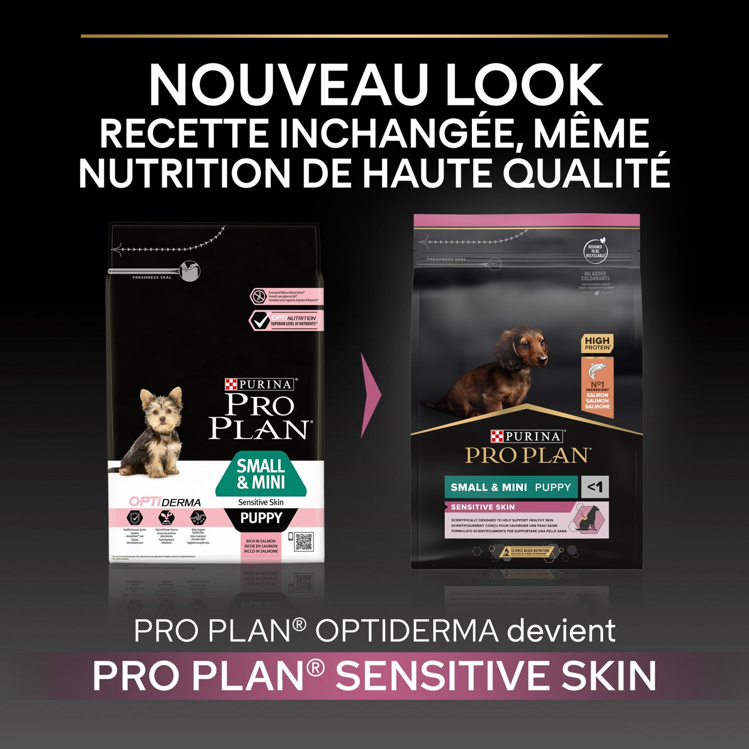 PRO PLAN Sensitive Skin Small & Mini Puppy au Saumon - Croquettes pour chien
