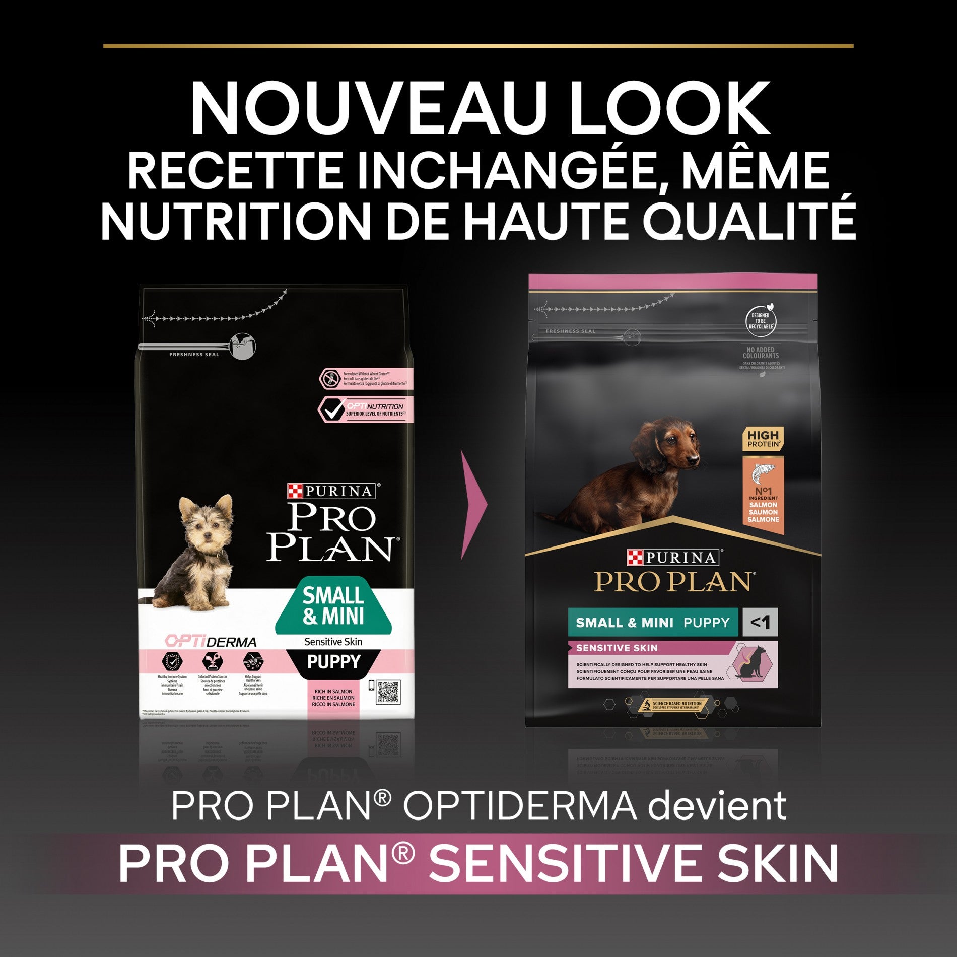 PRO PLAN Sensitive Skin Small & Mini Puppy au Saumon - Croquettes pour chien