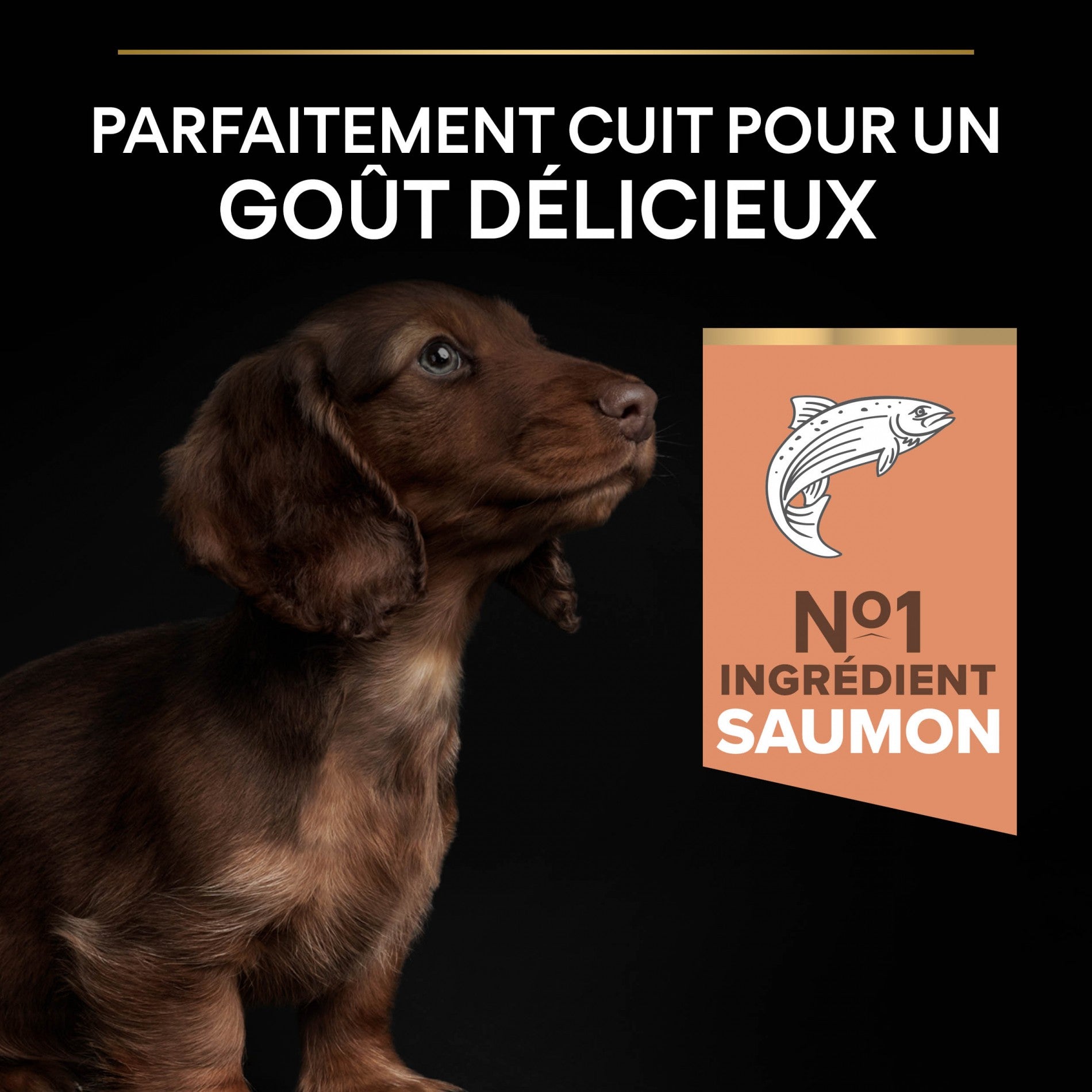 PRO PLAN Sensitive Skin Small & Mini Puppy au Saumon - Croquettes pour chien