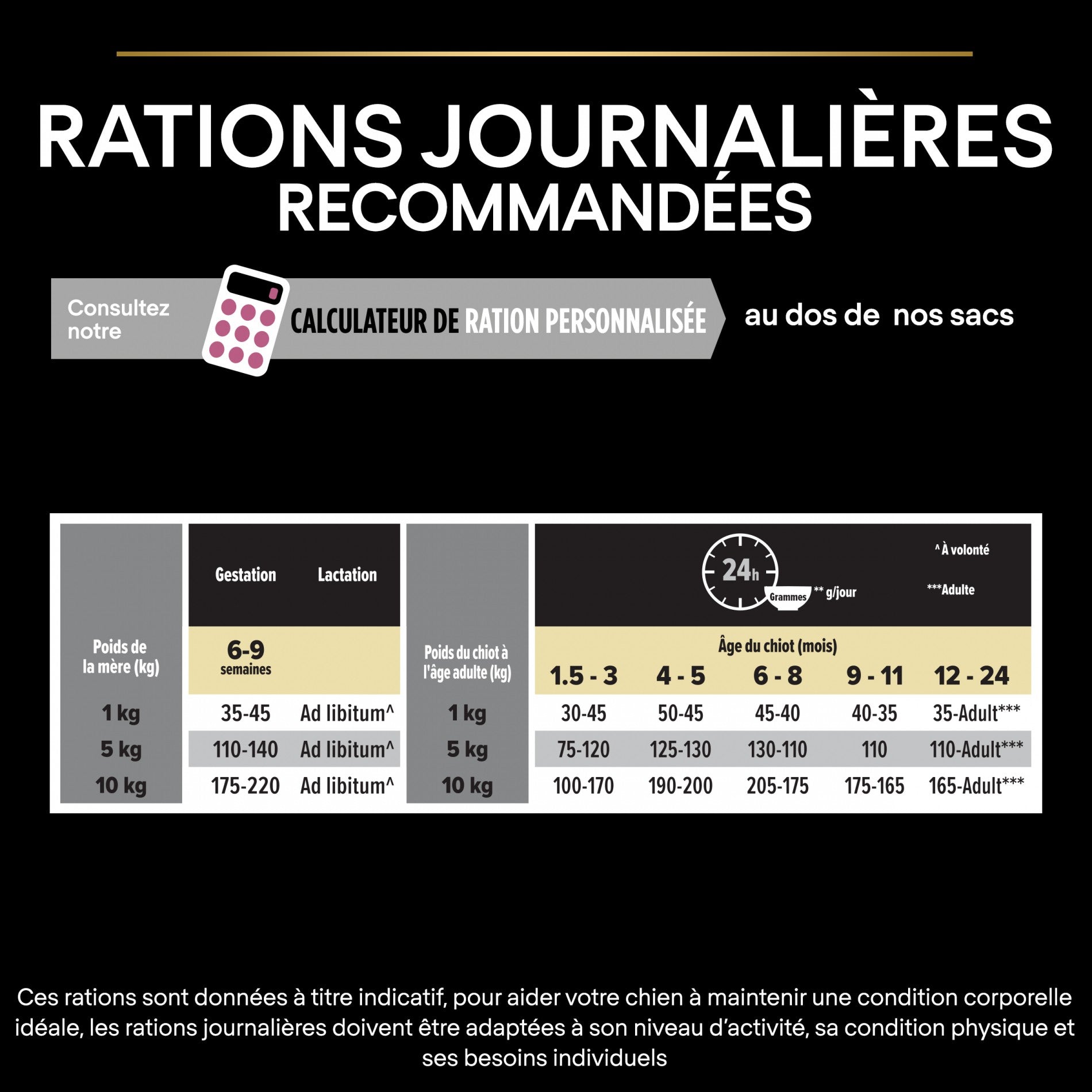 PRO PLAN Sensitive Skin Small & Mini Puppy au Saumon - Croquettes pour chien