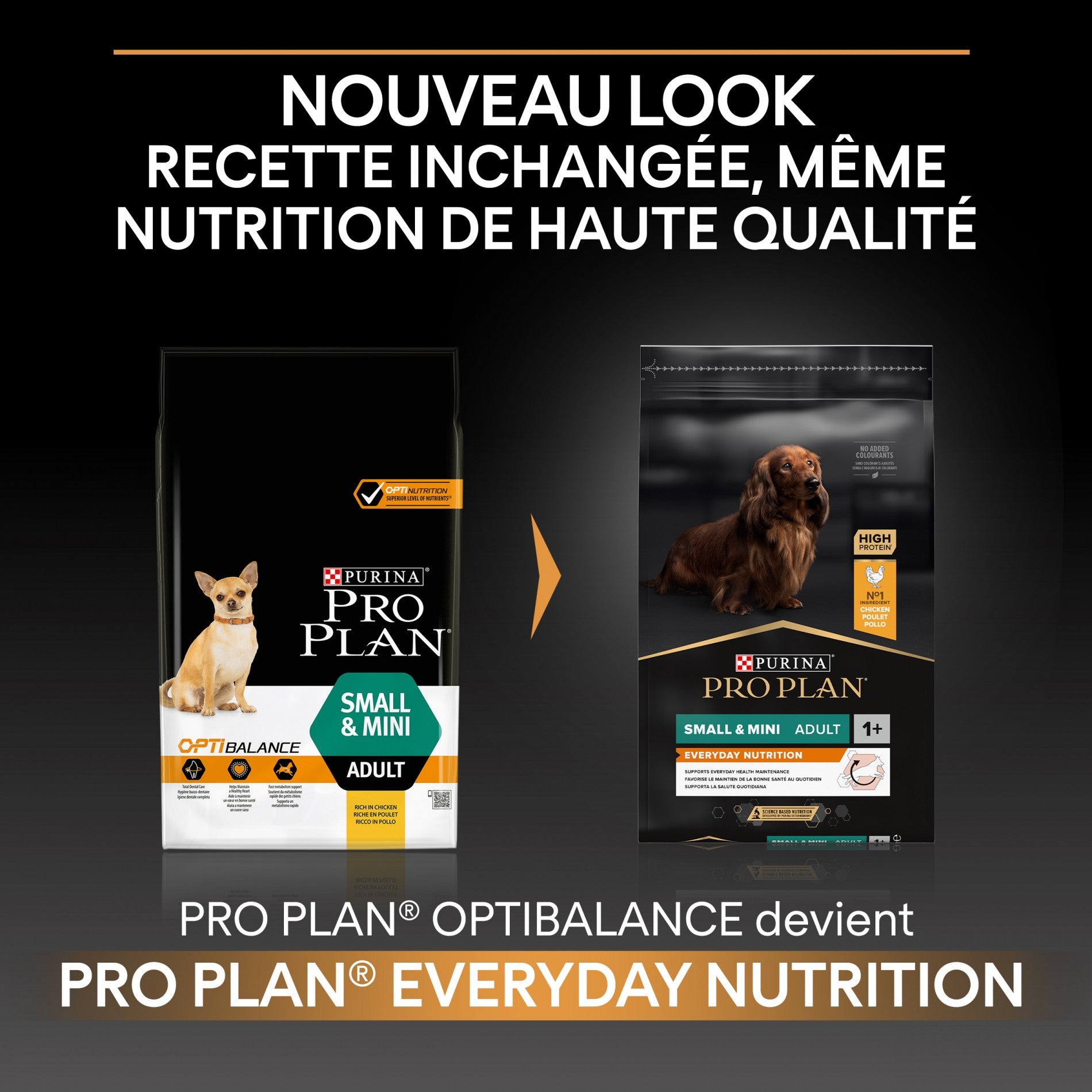 PRO PLAN Everyday Nutrition Small & Mini Adult au Poulet - Croquettes pour chien