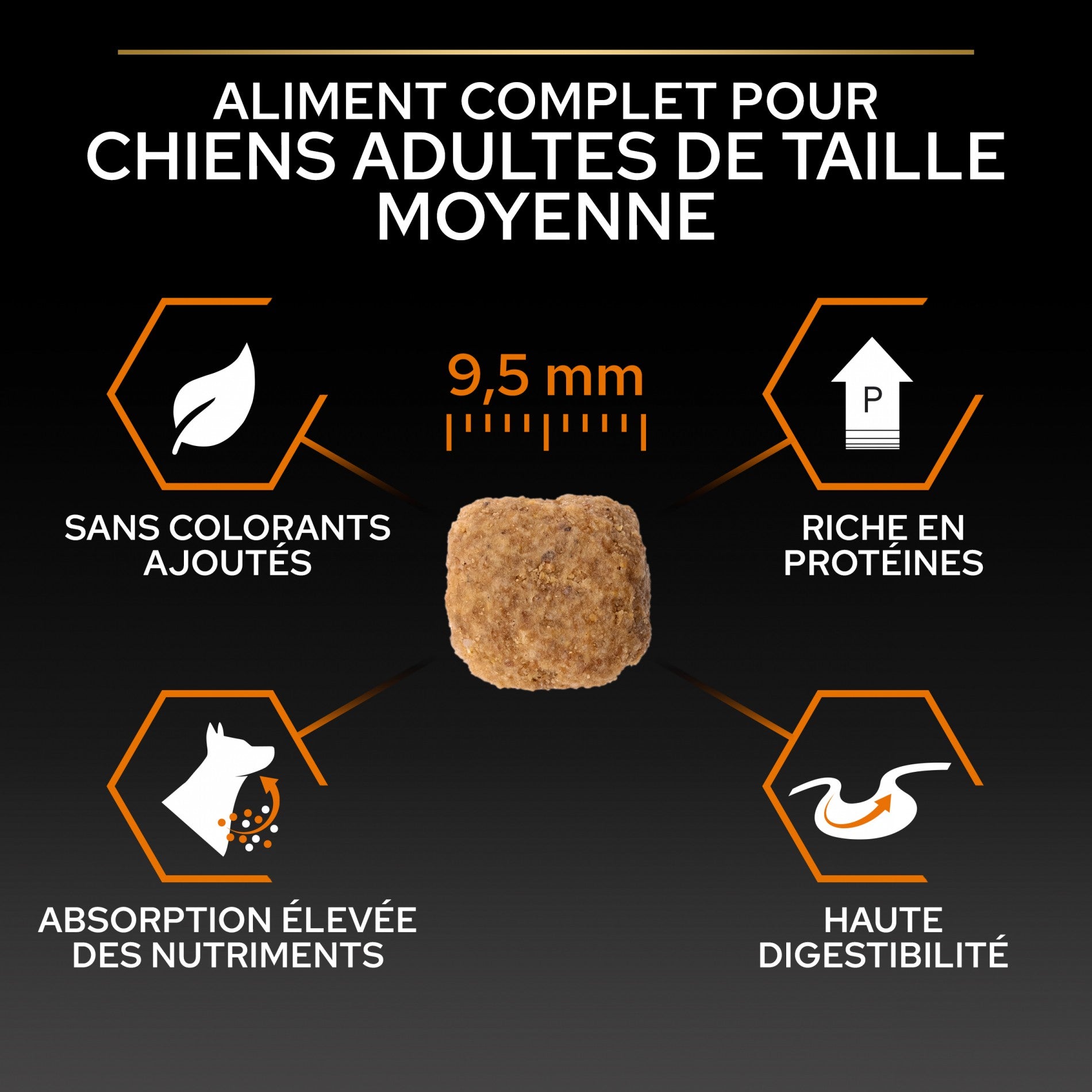 PRO PLAN Everyday Nutrition Small & Mini Adult au Poulet - Croquettes pour chien