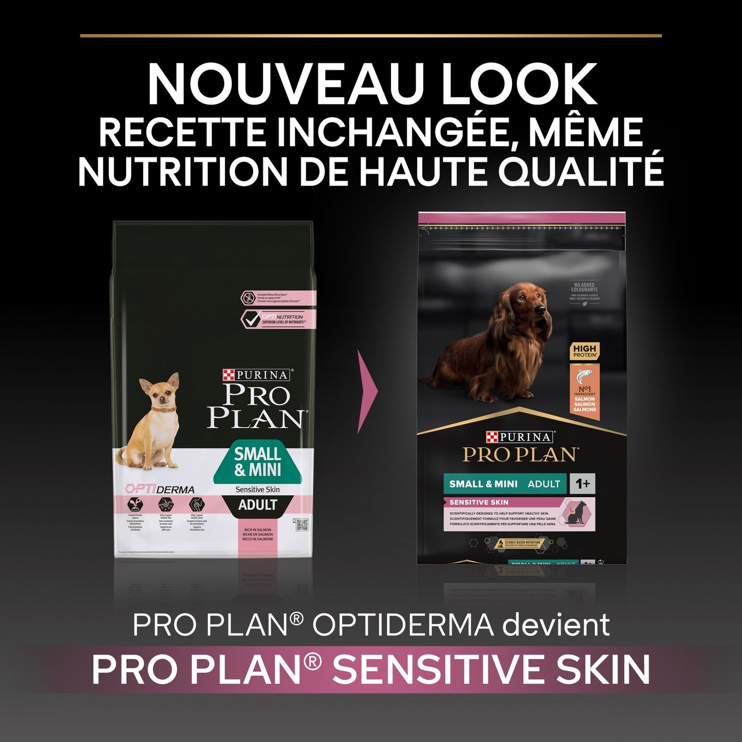 PRO PLAN Sensitive Skin Small & Mini Adult au Saumon - Croquettes pour chien