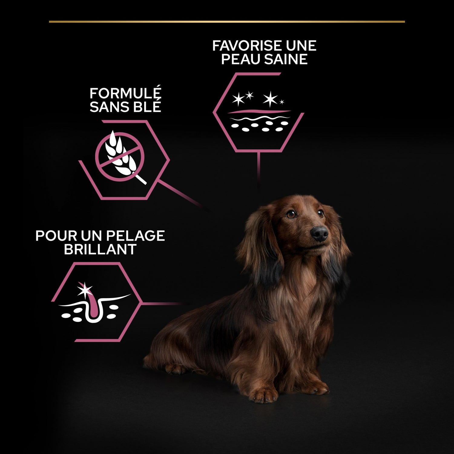 PRO PLAN Sensitive Skin Small & Mini Adult au Saumon - Croquettes pour chien