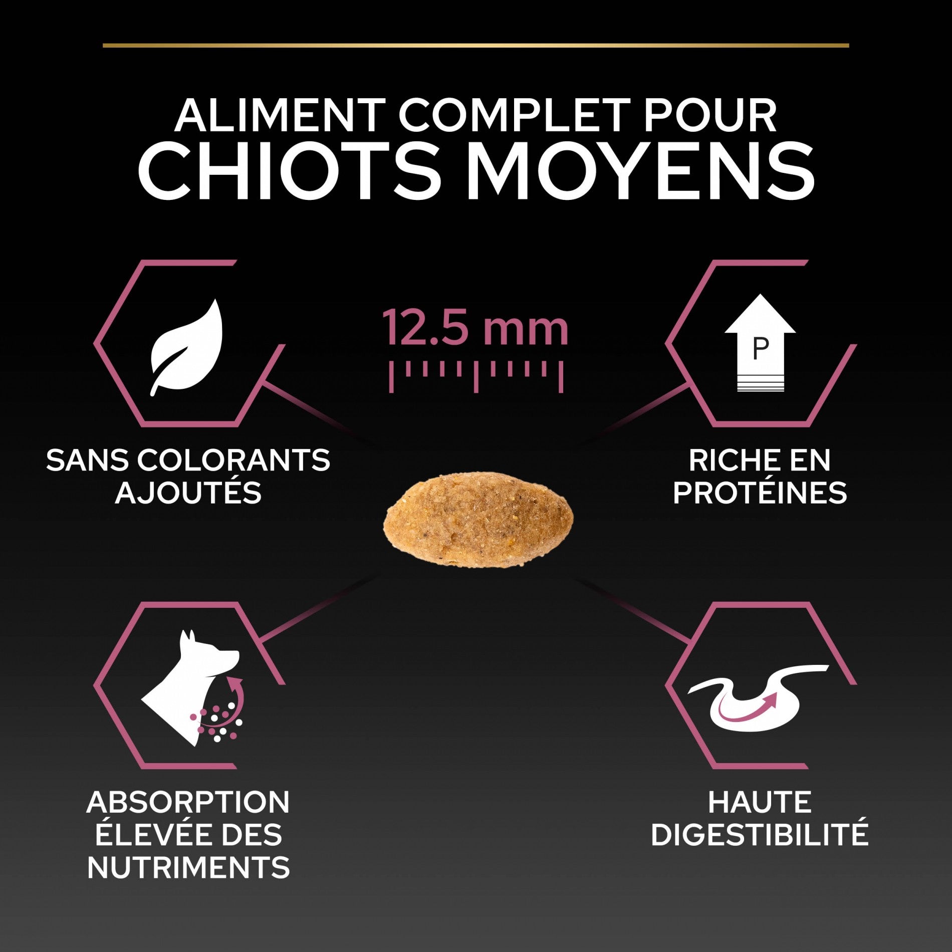 PRO PLAN Sensitive Skin Medium Puppy au Saumon - Croquettes pour chien