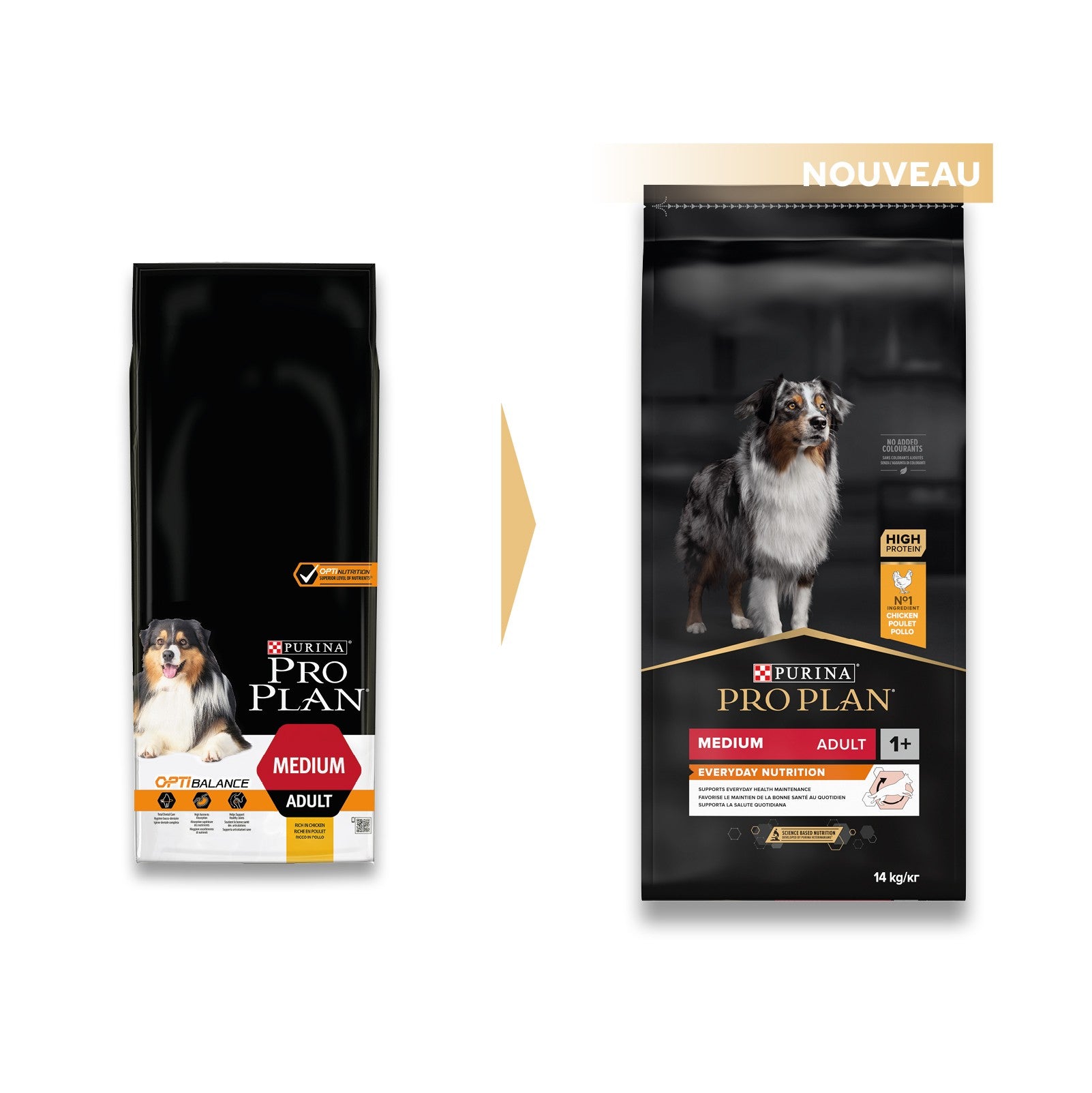 PRO PLAN Everyday Nutrition Medium Adult au Poulet - Croquettes pour chien