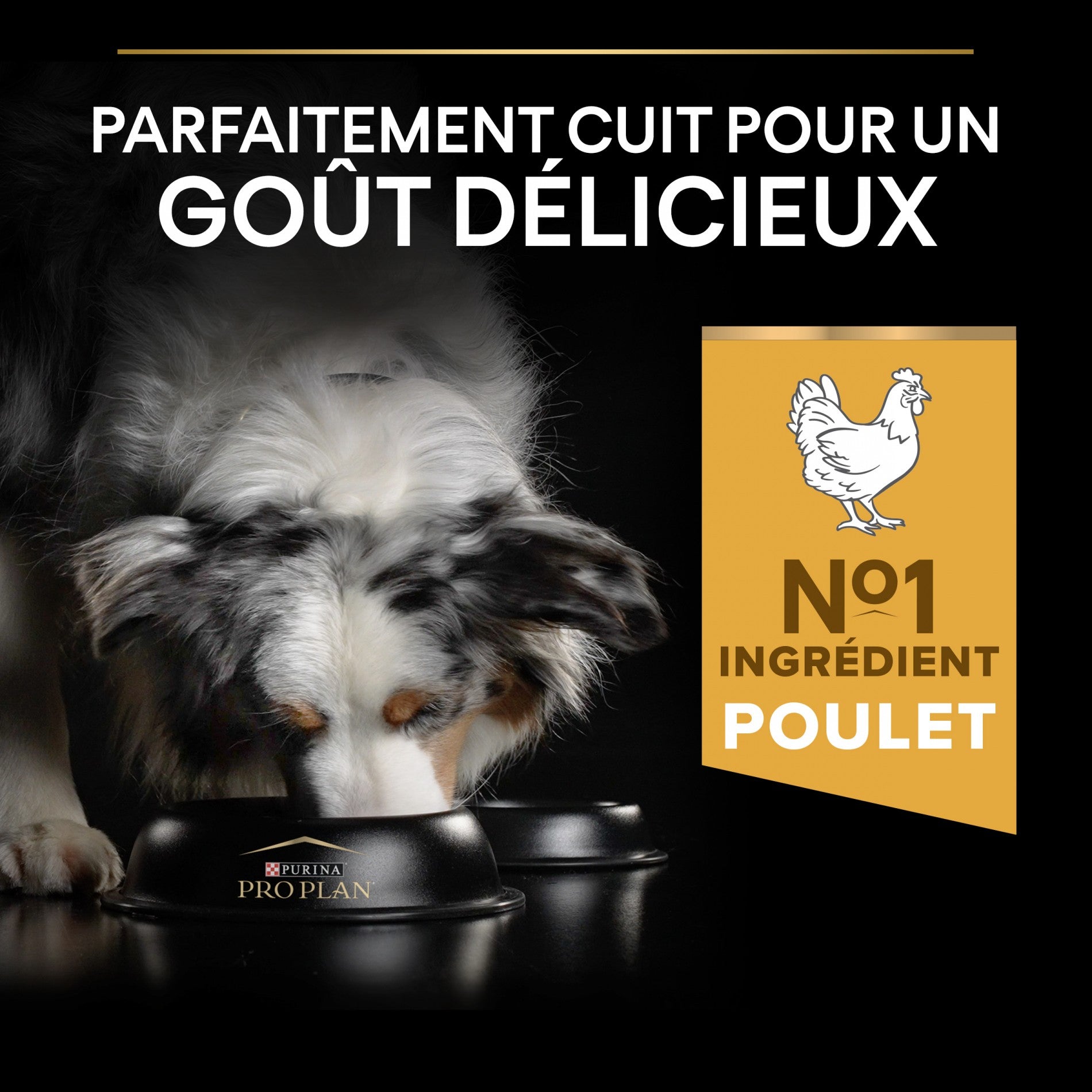PRO PLAN Everyday Nutrition Medium Adult au Poulet - Croquettes pour chien