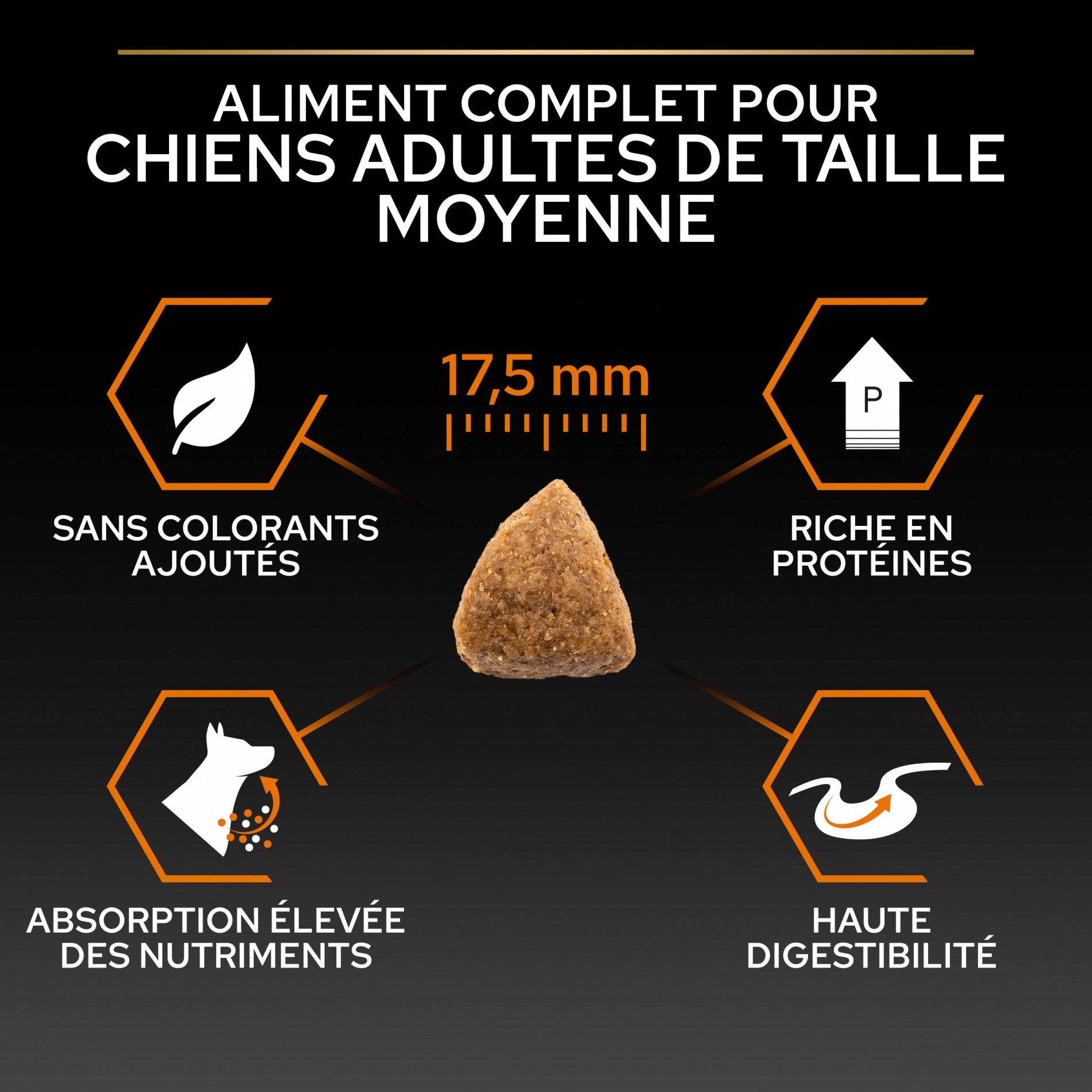 PRO PLAN Everyday Nutrition Medium Adult au Poulet - Croquettes pour chien