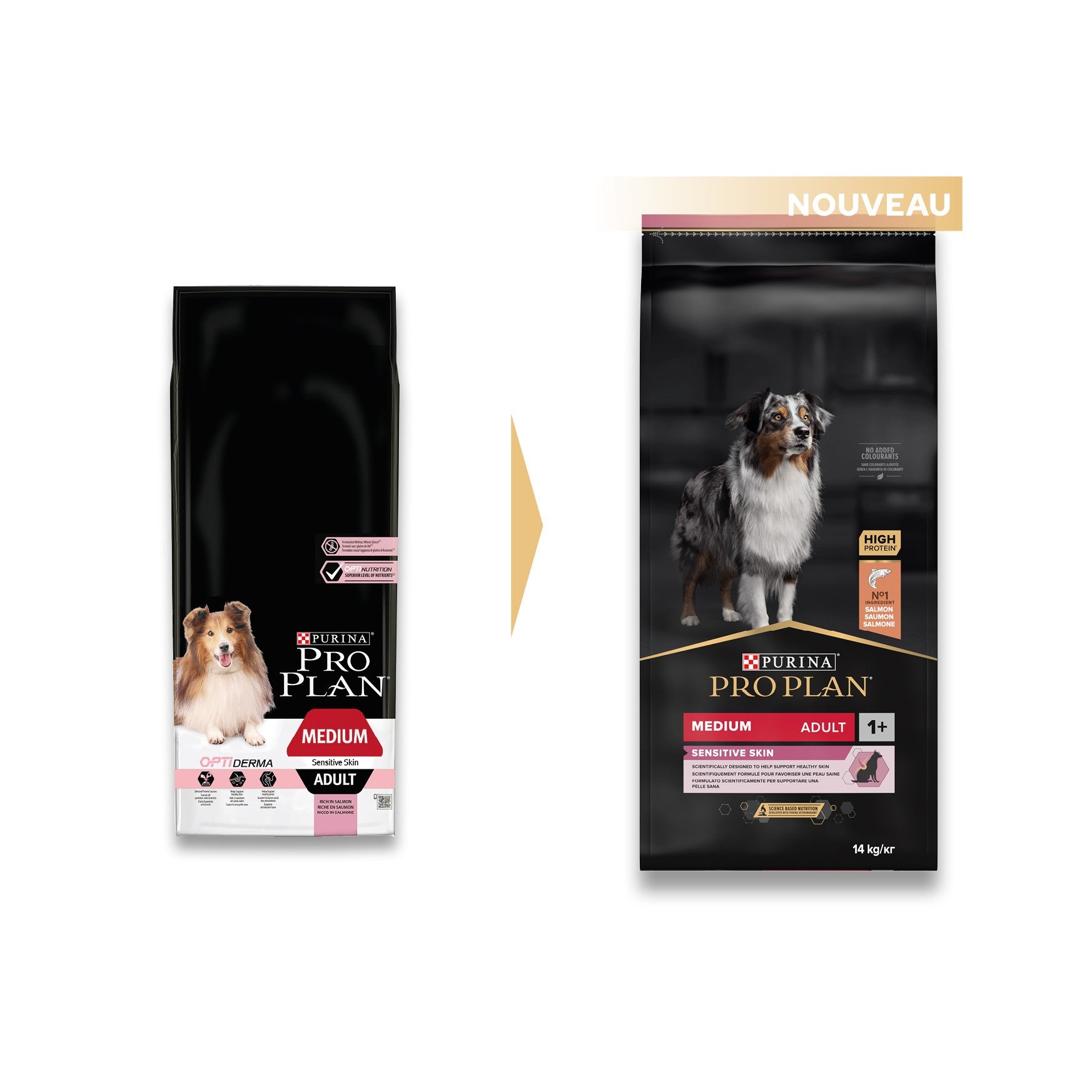 PRO PLAN Sensitive Skin Medium Adult au Saumon - Croquettes pour chien