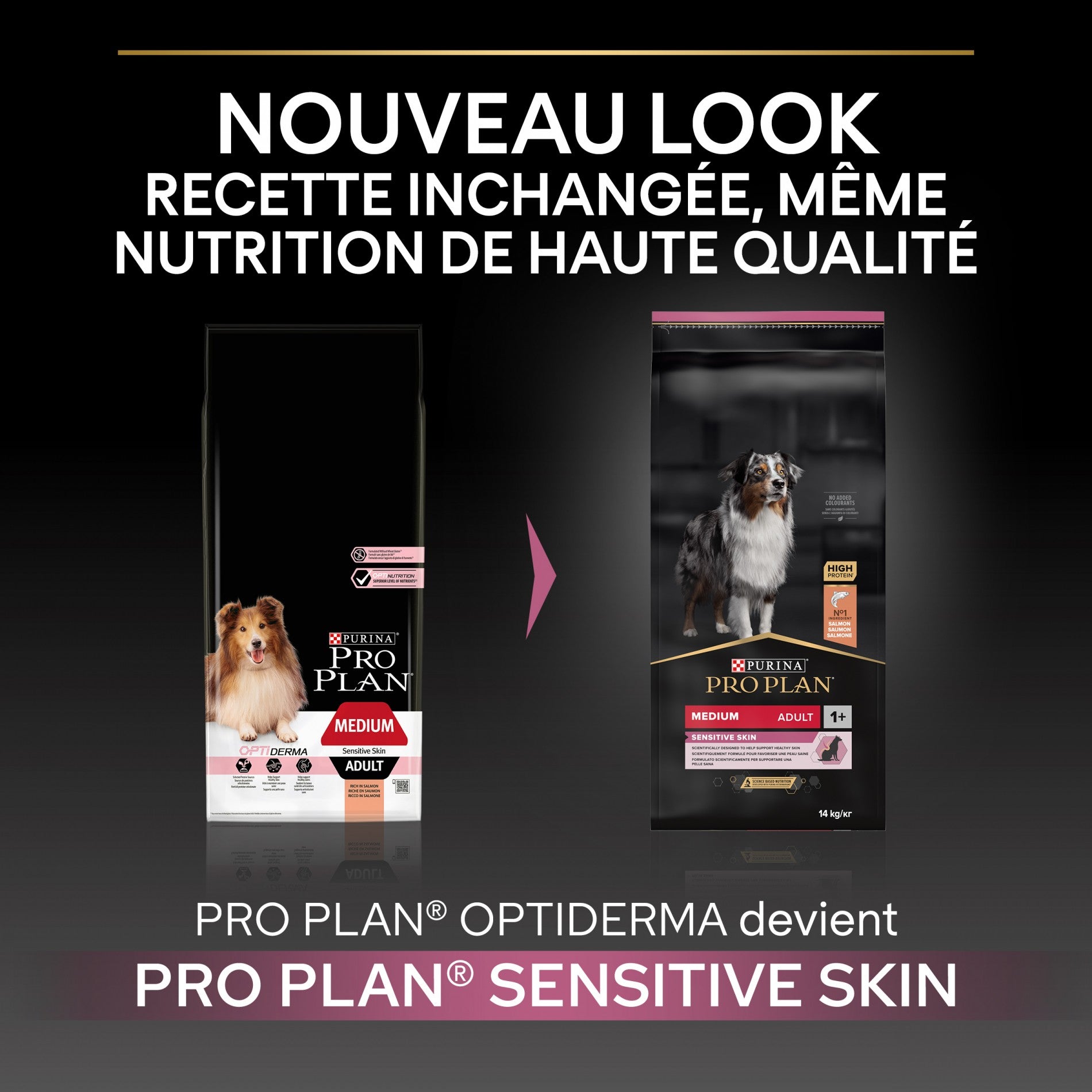 PRO PLAN Sensitive Skin Medium Adult au Saumon - Croquettes pour chien