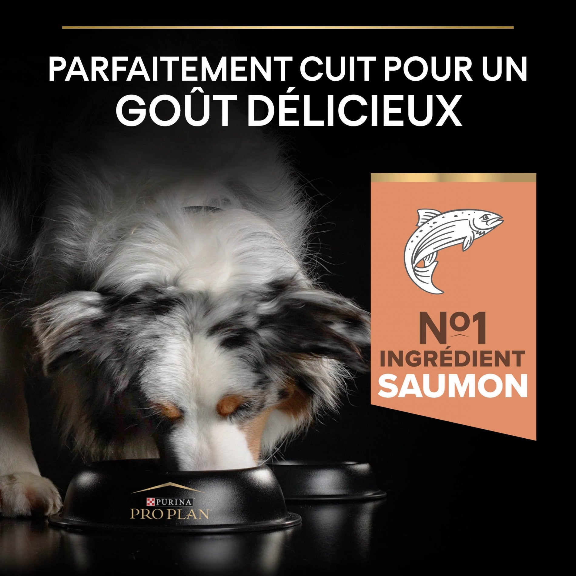 PRO PLAN Sensitive Skin Medium Adult au Saumon - Croquettes pour chien