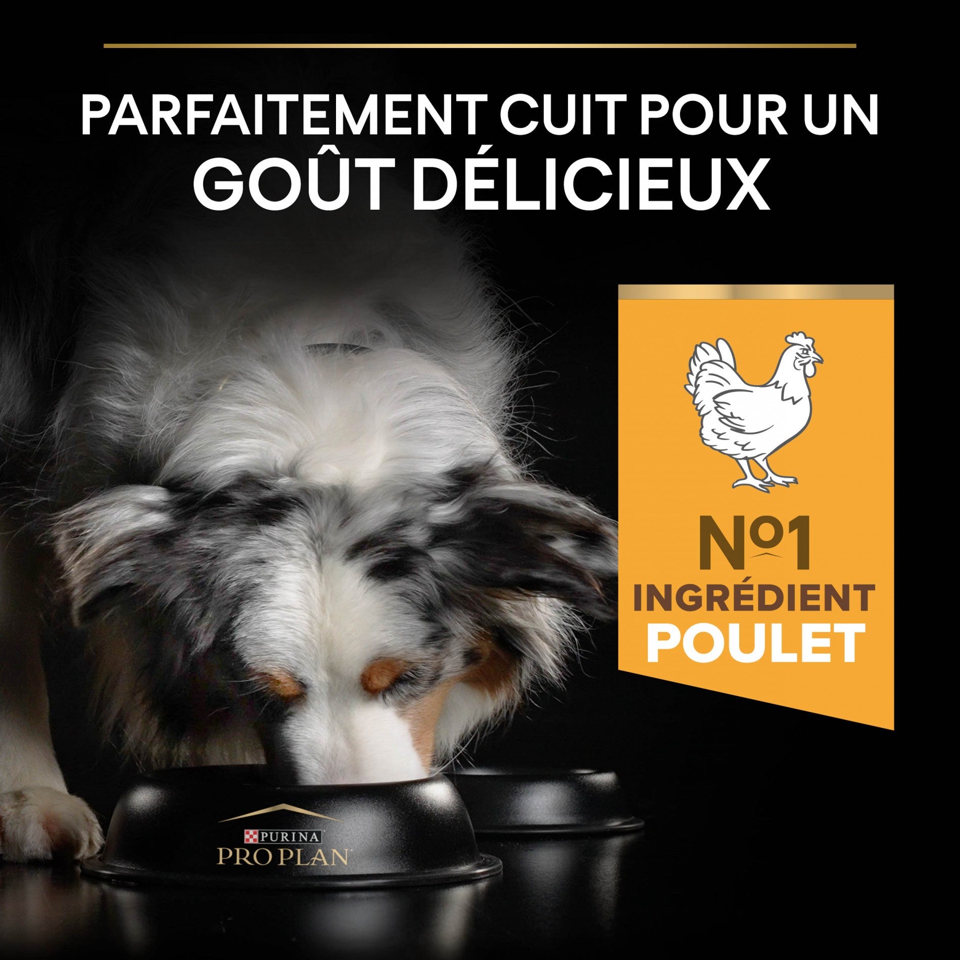 PRO PLAN Light/Sterilised All Sizes Adult au Poulet - Croquettes pour chien