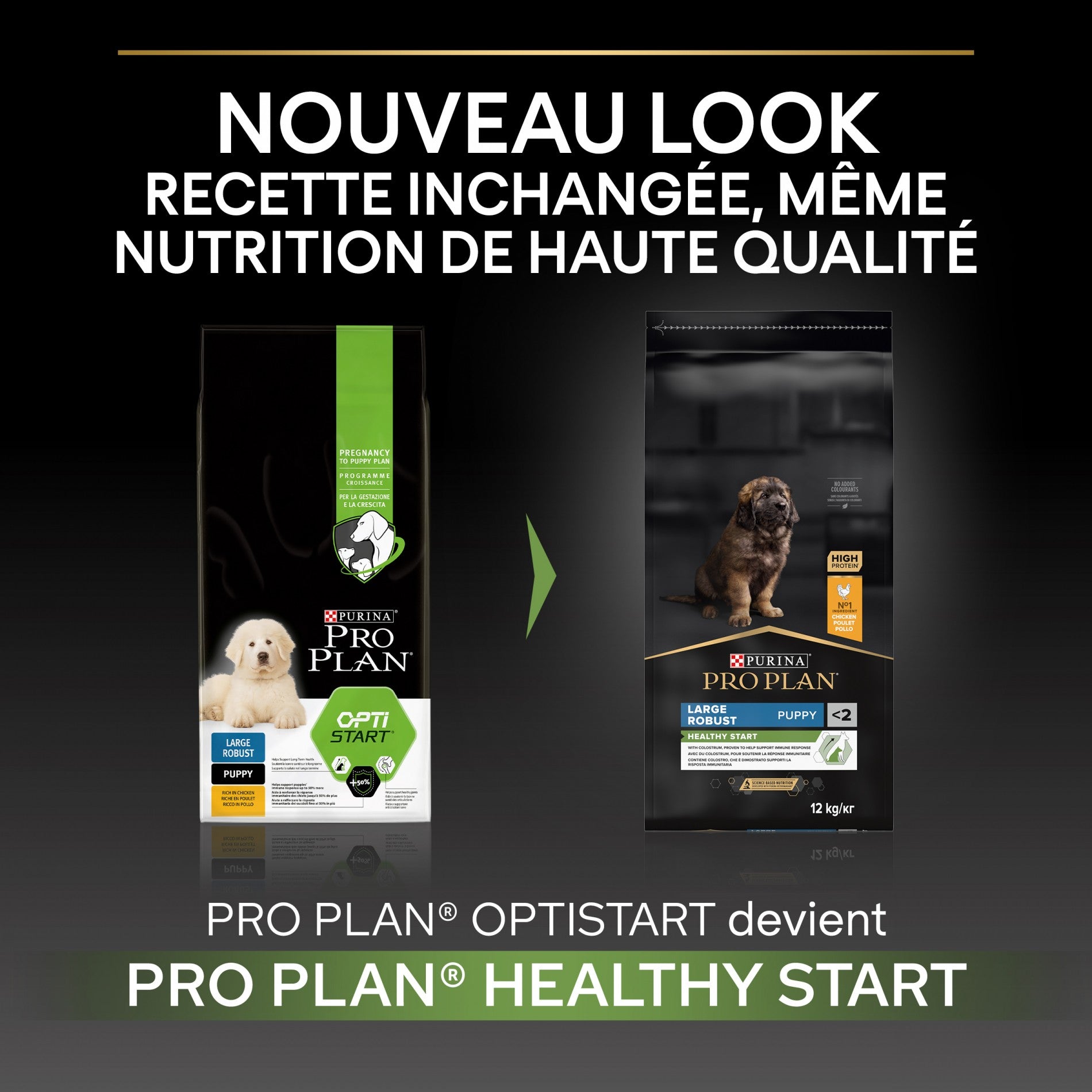 PRO PLAN Healthy Start Large Robust Puppy au Poulet - Croquettes pour chien