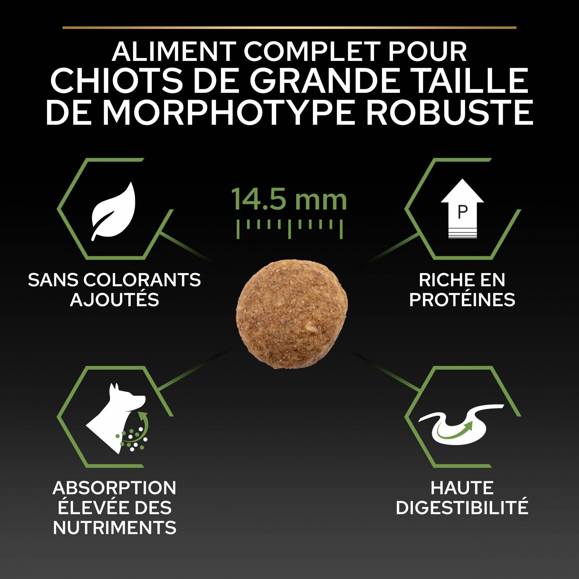 PRO PLAN Healthy Start Large Robust Puppy au Poulet - Croquettes pour chien