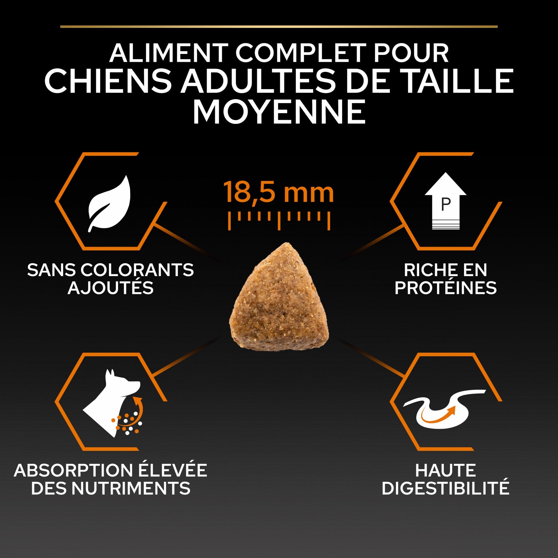 PRO PLAN Everyday Nutrition Large Athletic Adult au Poulet - Croquettes pour chien