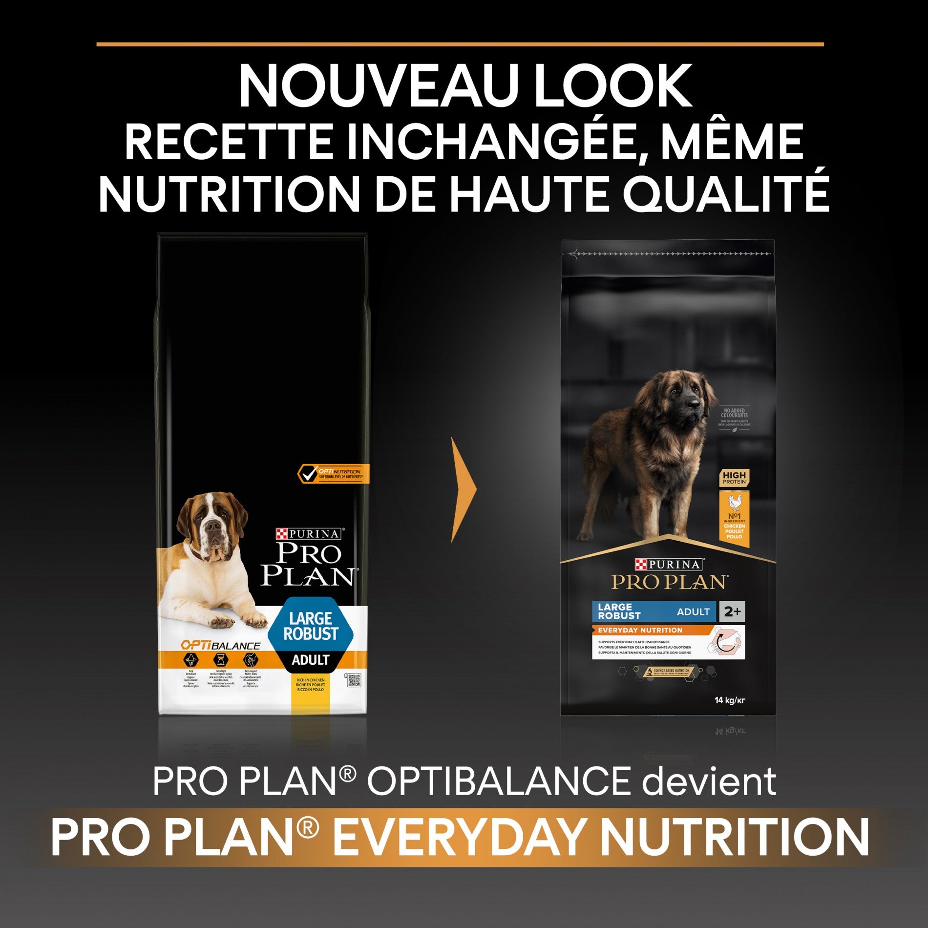 PRO PLAN Everyday Nutrition Large Robust Adult au Poulet - Croquettes pour chien
