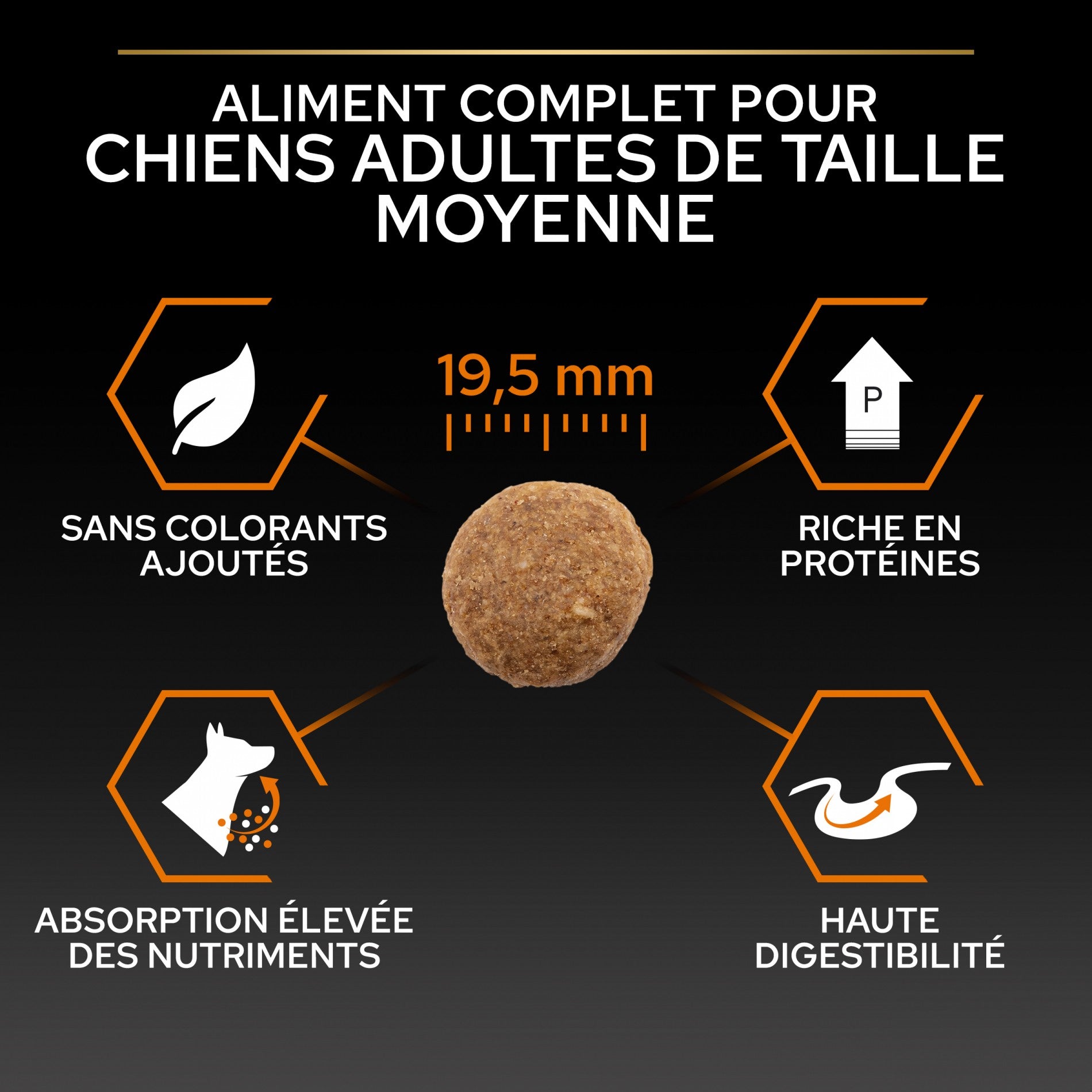 PRO PLAN Everyday Nutrition Large Robust Adult au Poulet - Croquettes pour chien