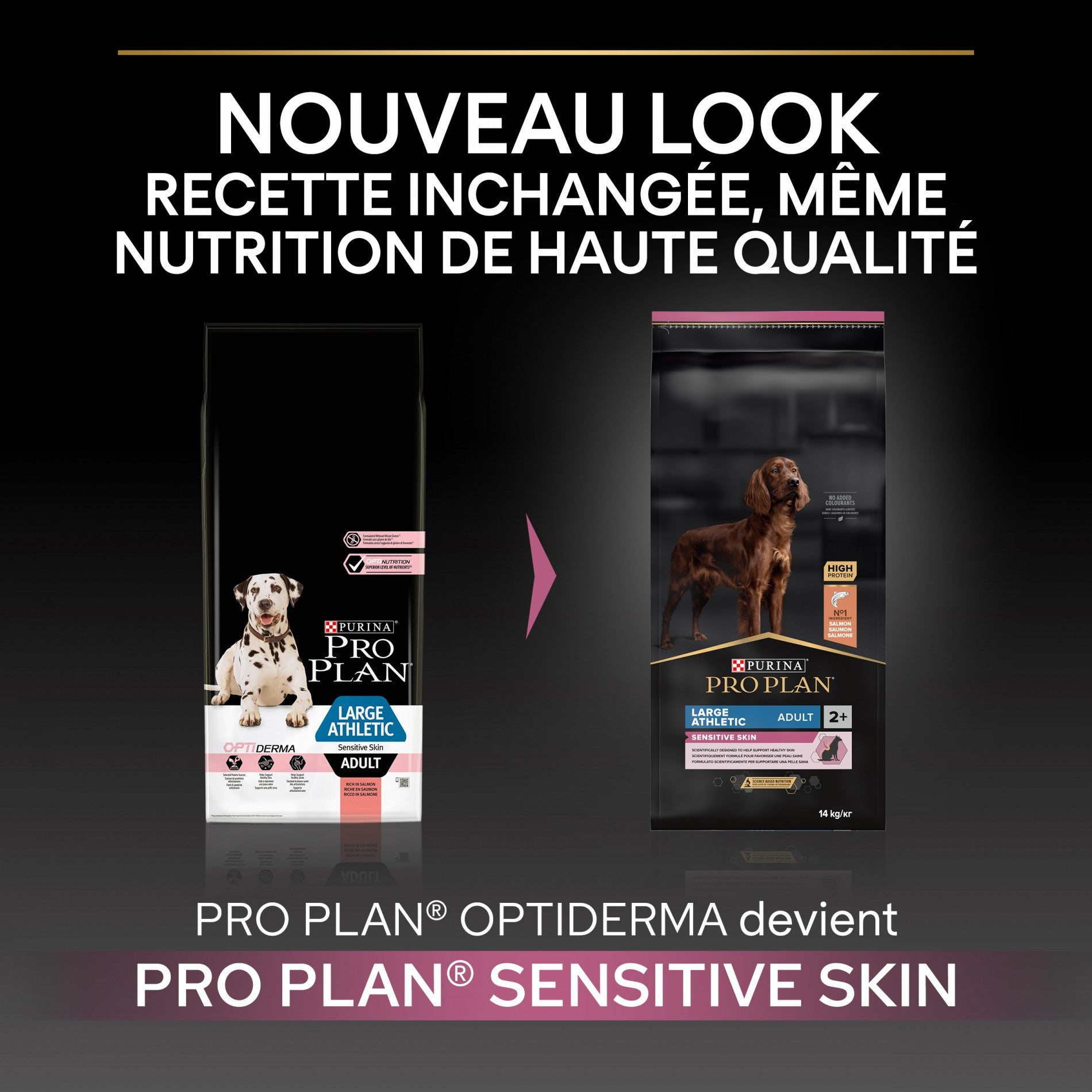 PRO PLAN Sensitive Skin Large Athletic Adult au Saumon - Croquettes pour chien