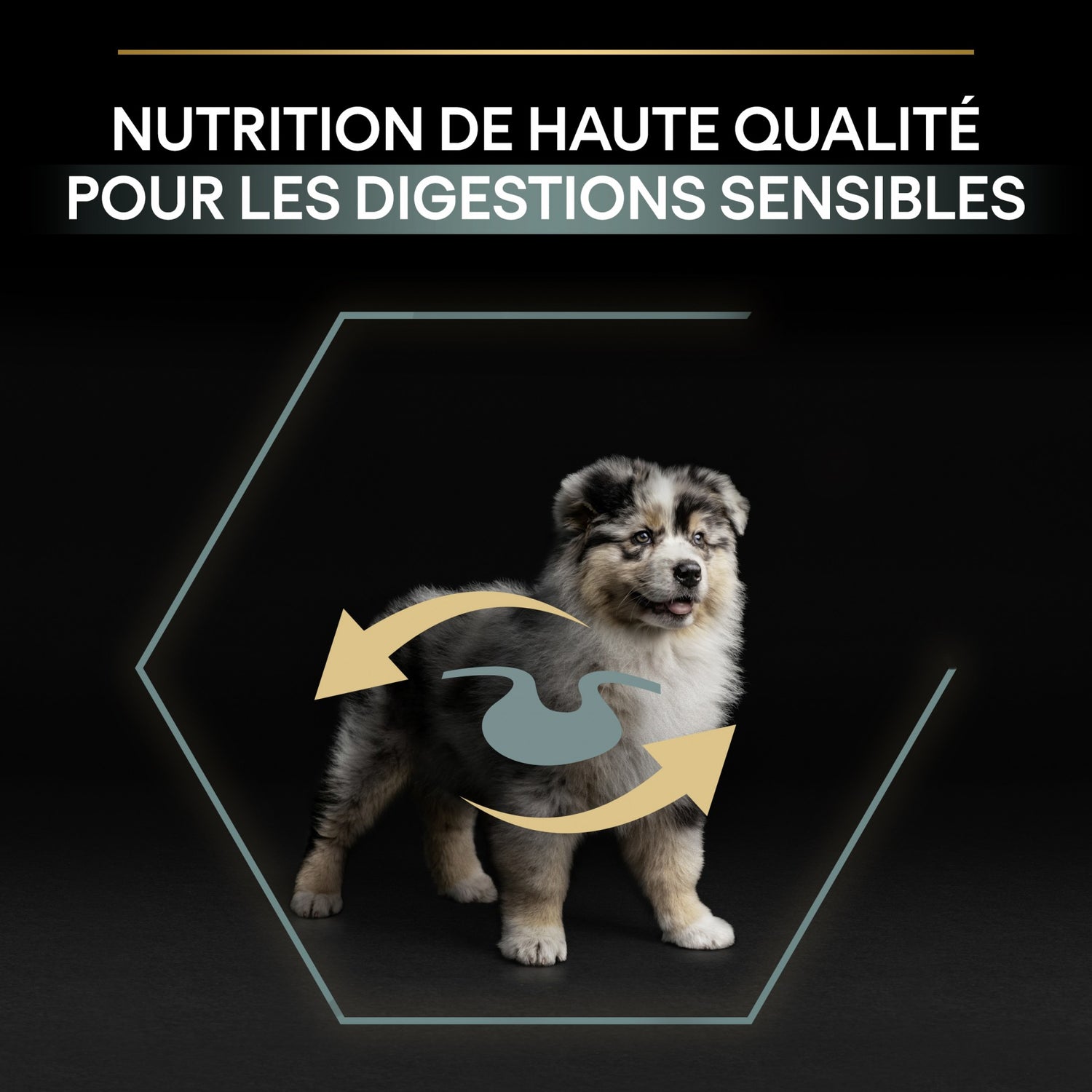PRO PLAN Sensitive Digestion Medium Puppy à la Agneau- Croquettes pour chien